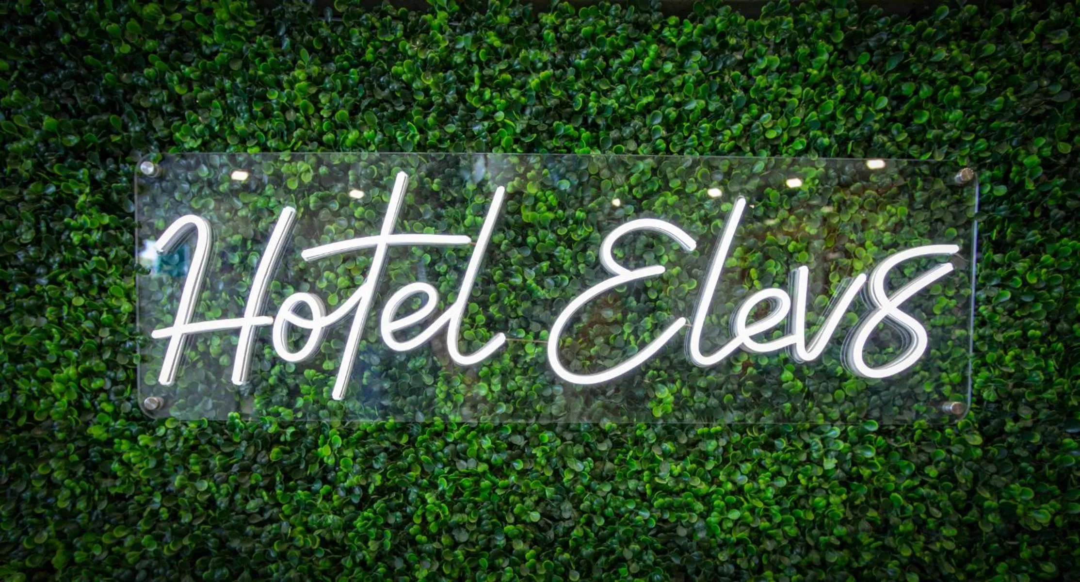 Logo/Certificate/Sign in Hotel Elev8 Flagstaff, Trademark Collection by Wyndham