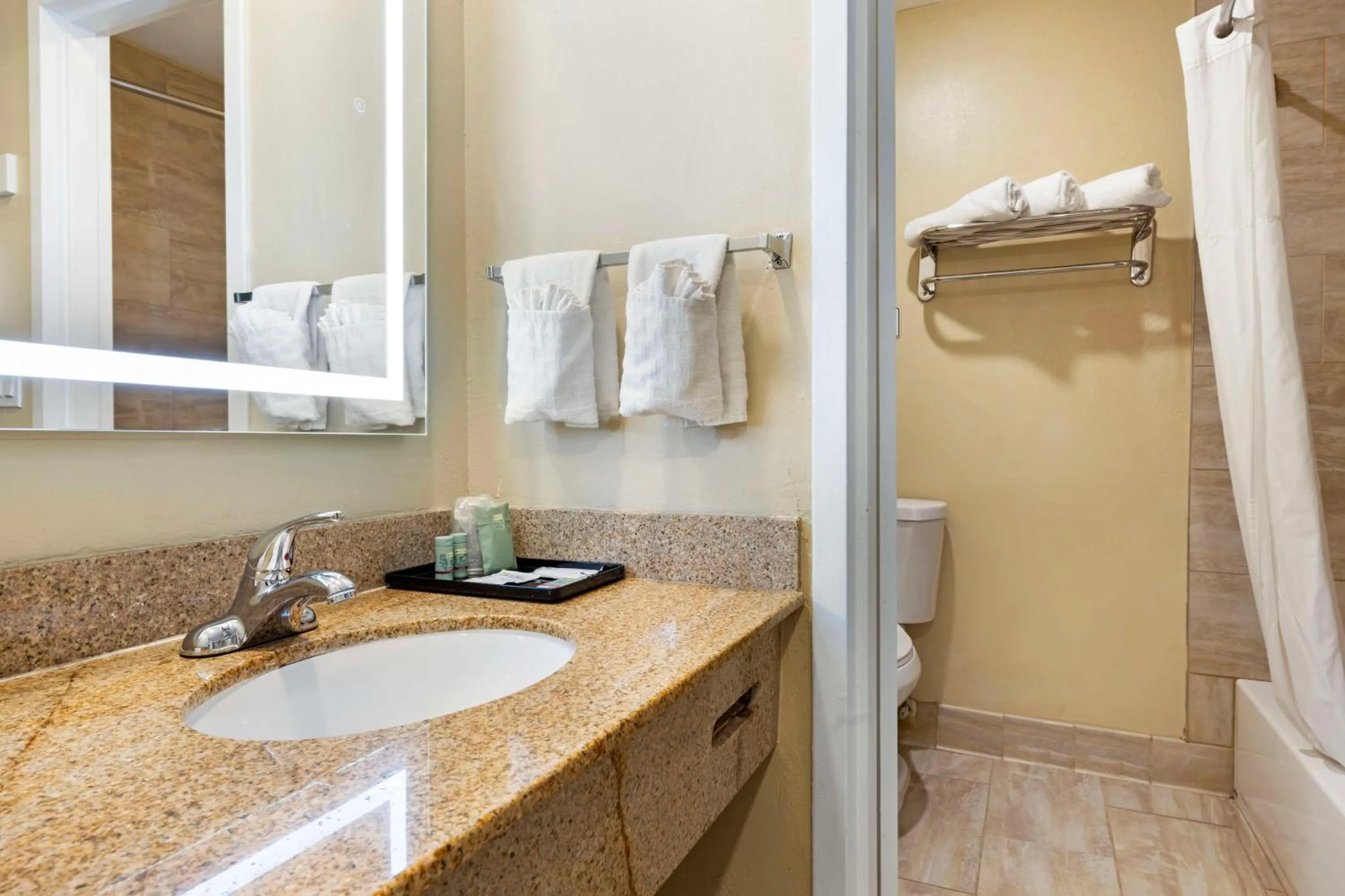 Bathroom in Best Western Oceanside Inn