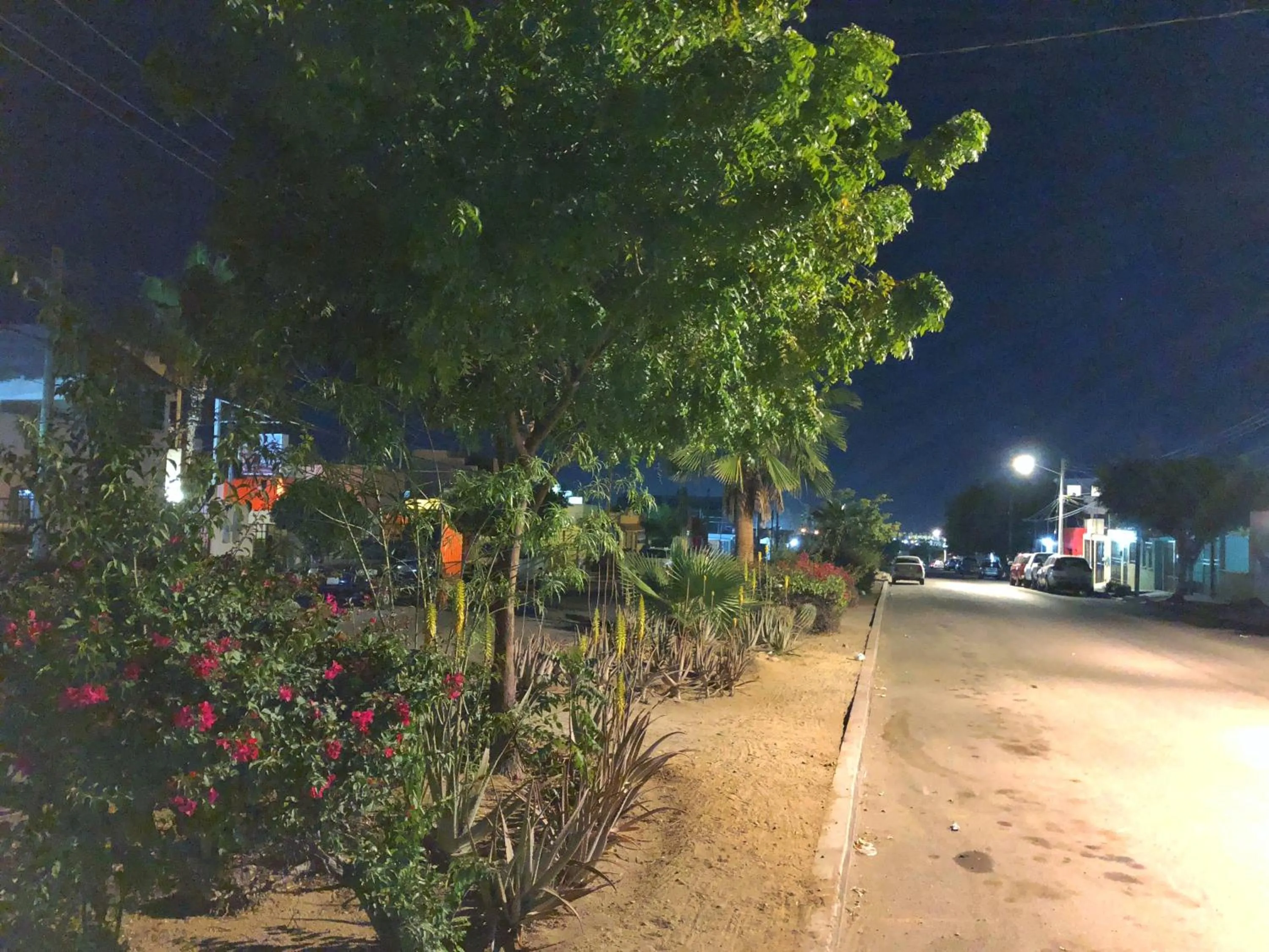 Neighbourhood in Estancia del Sol