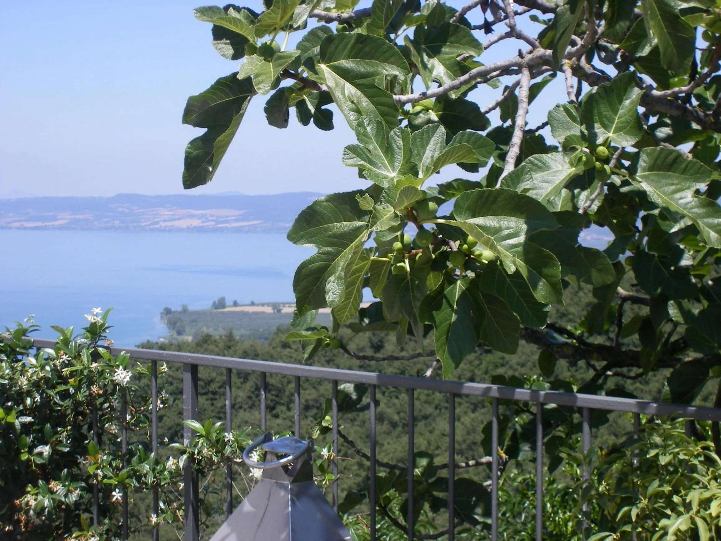 Facade/entrance in Il Caminetto Montefiascone