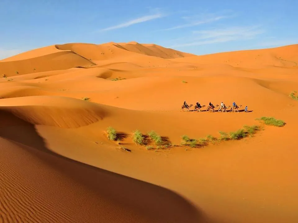 Natural landscape in Hotel Riad Ali