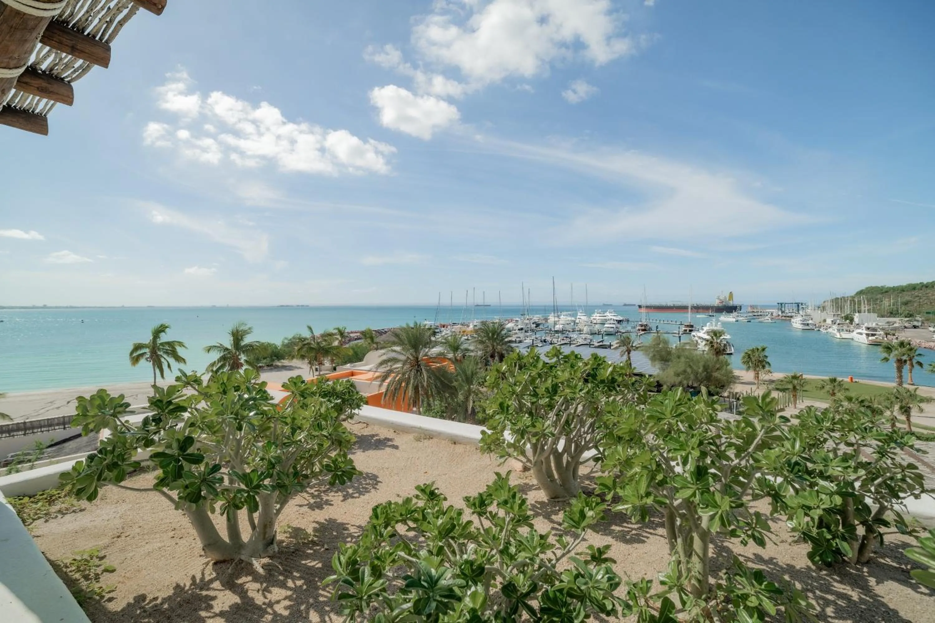 Photo of the whole room in Costa Baja Resort & Spa