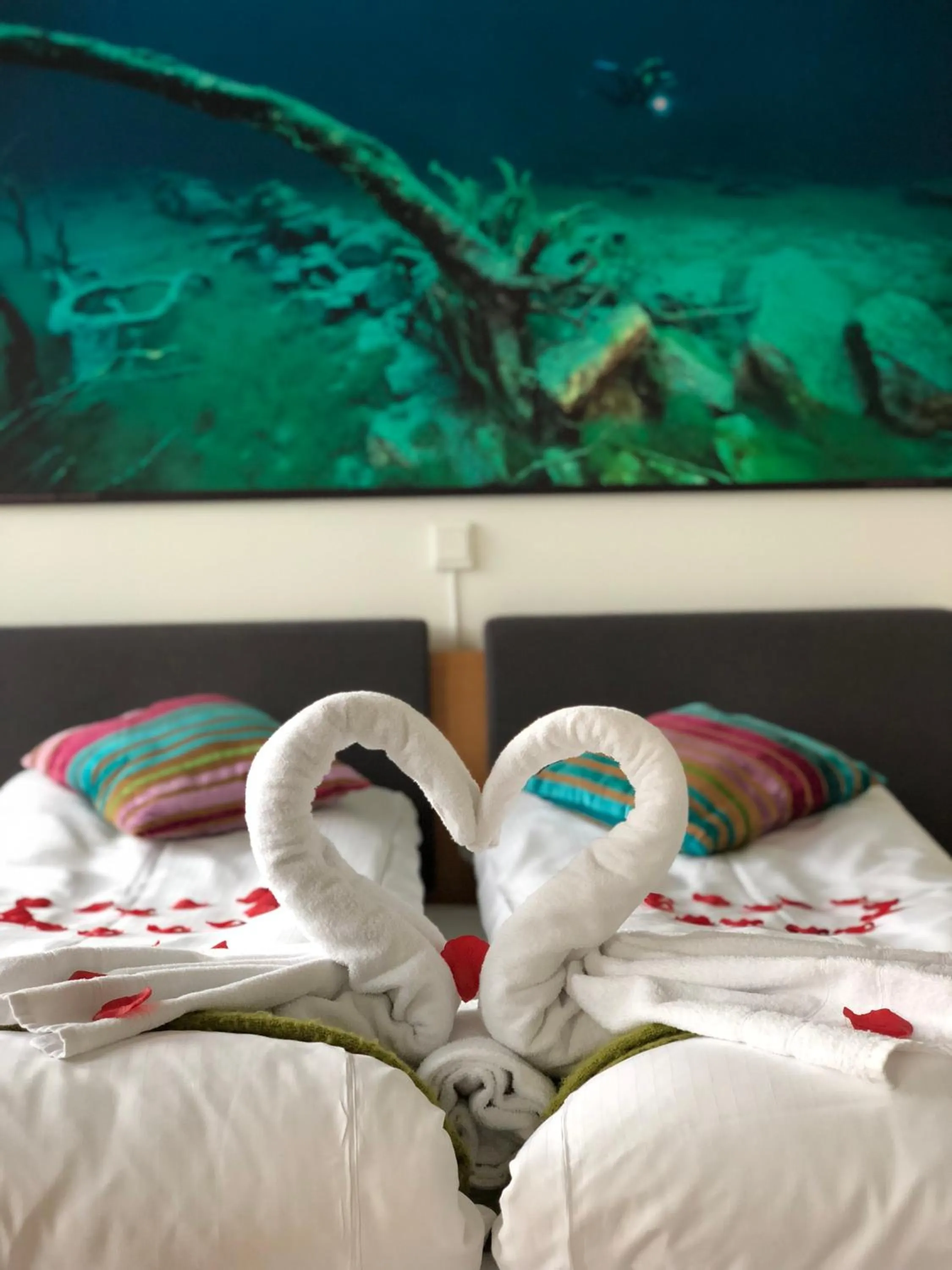 Bed in Havila Hotel Ivar Aasen