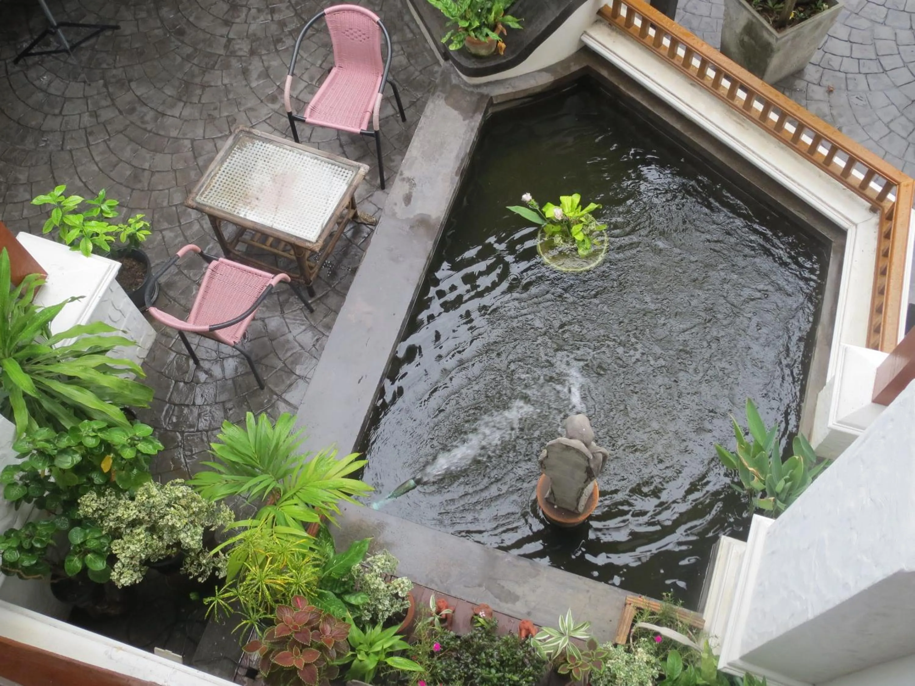 Garden in Baanlek Home Stay