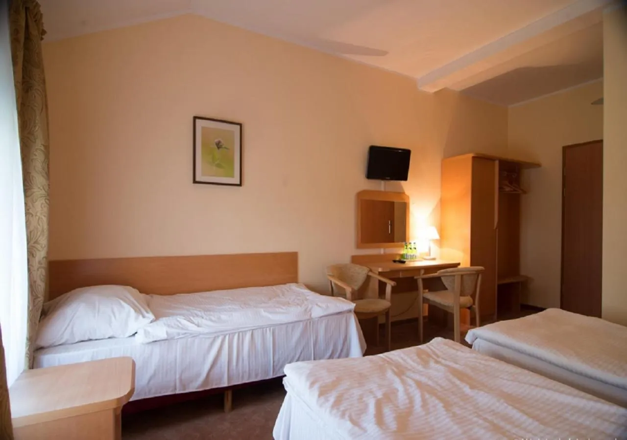 Photo of the whole room, Bed in Hotel Karczyce