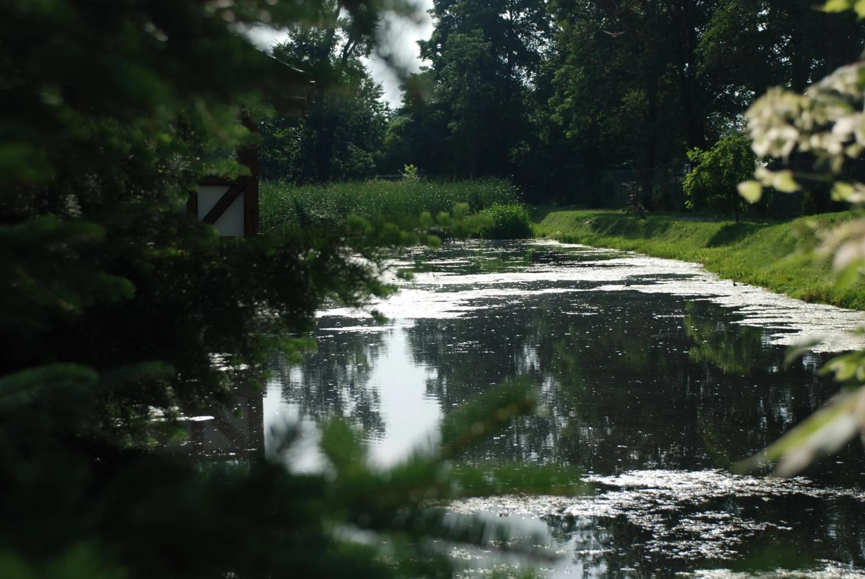 Garden in Hotel Karczyce