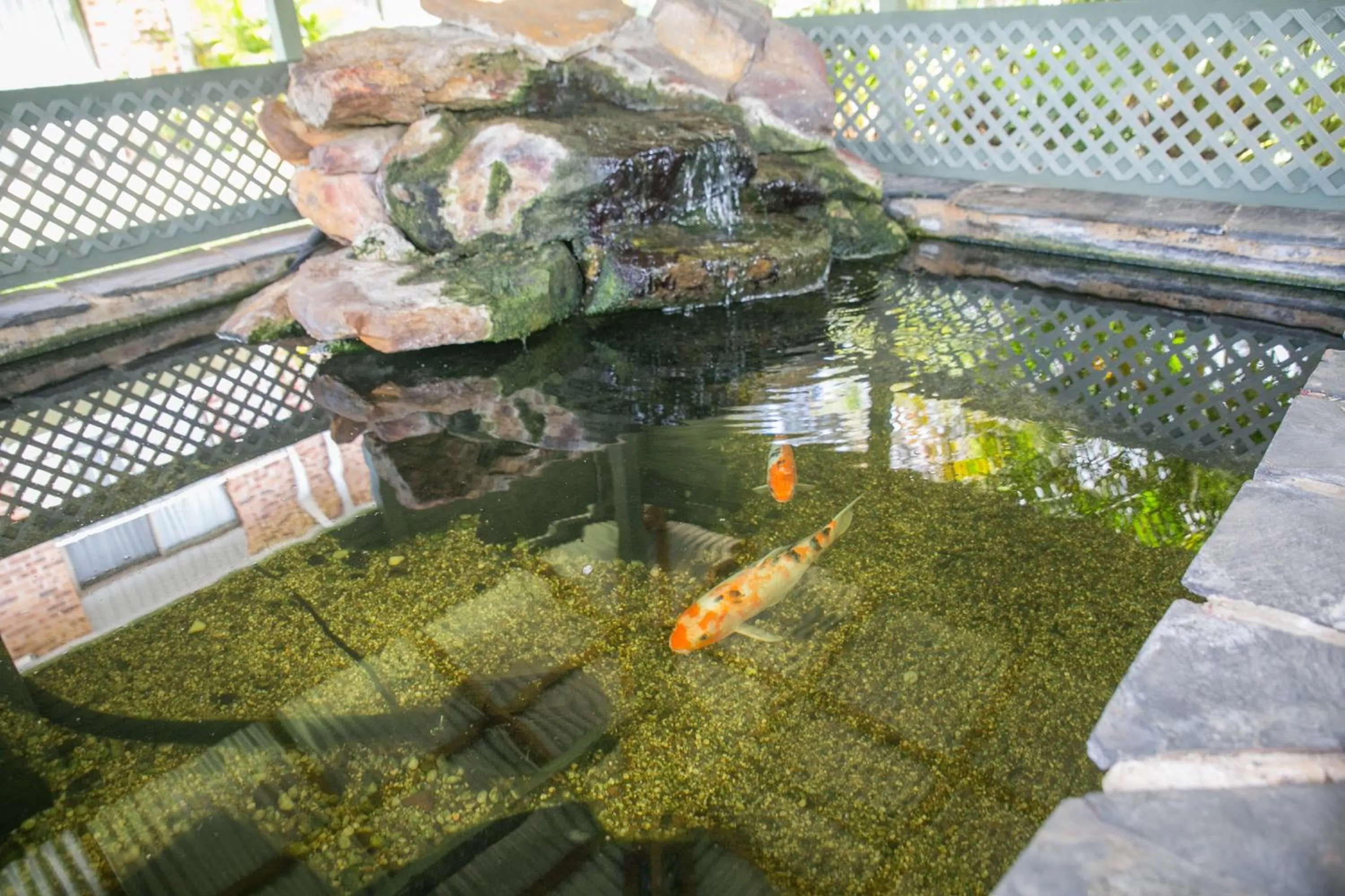 Garden view in The Select Inn Gosford
