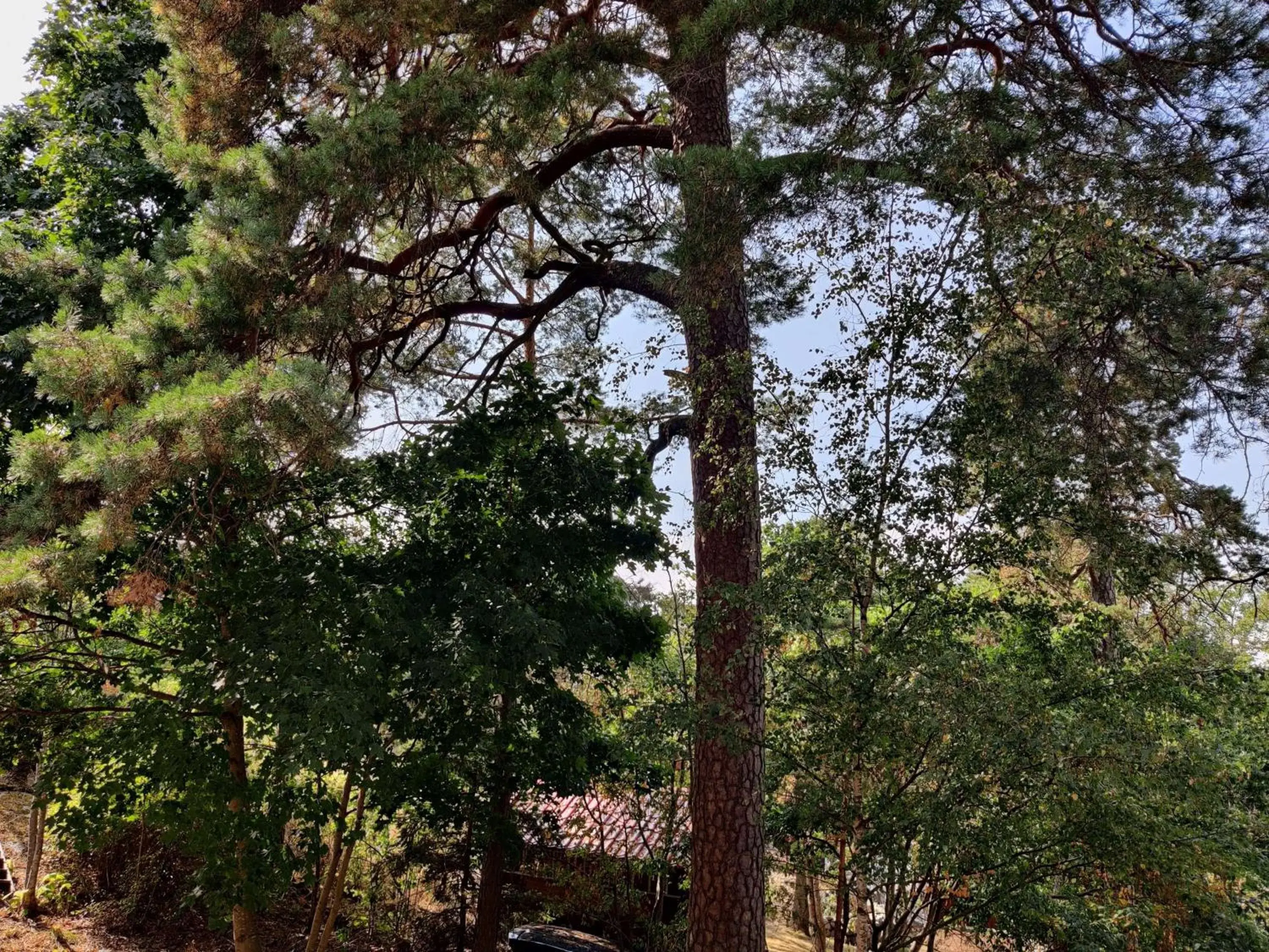 View (from property/room) in Best Western Hotel Danderyd View (from property/room) in Best Western Hotel Danderyd