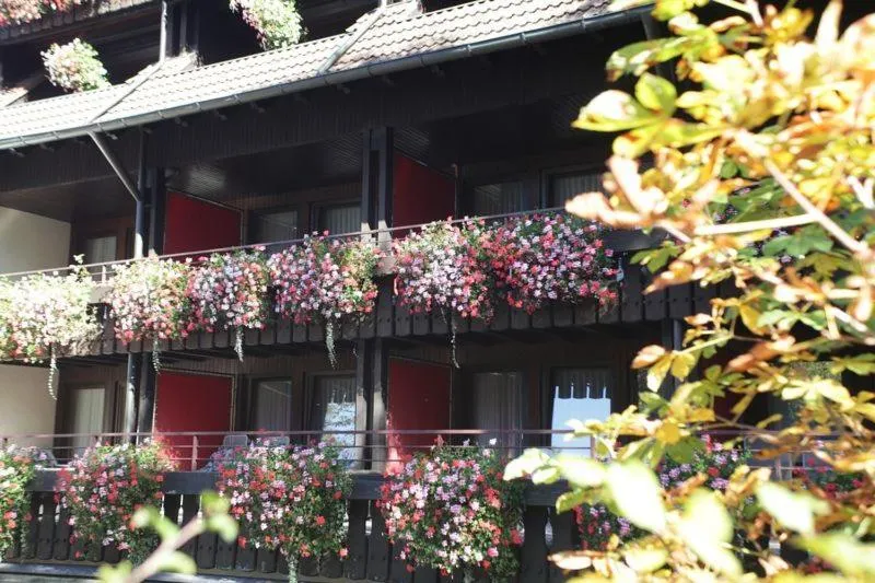 Balcony/Terrace in Hotel Schwarzwaldhof
