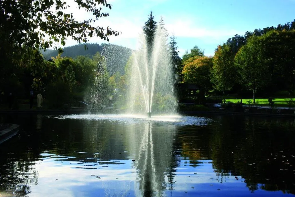 Area and facilities in Hotel Schwarzwaldhof