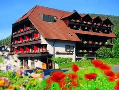 Hotel Schwarzwaldhof Hotel Schwarzwaldhof