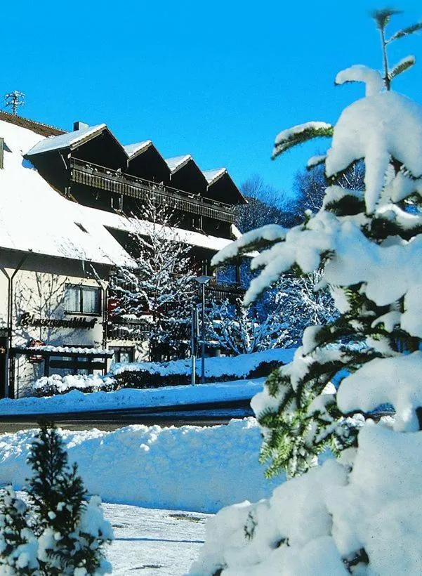 Winter in Hotel Schwarzwaldhof