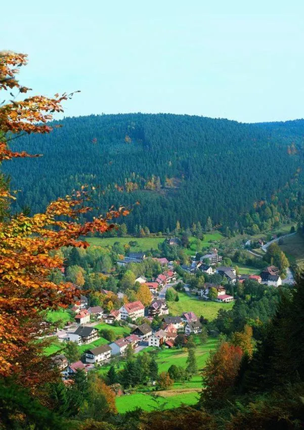 View (from property/room) in Hotel Schwarzwaldhof