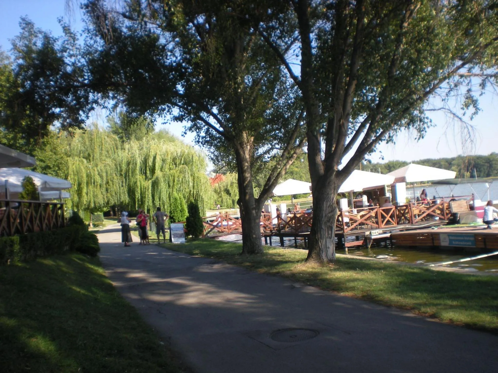 Activities in Parti Panzió