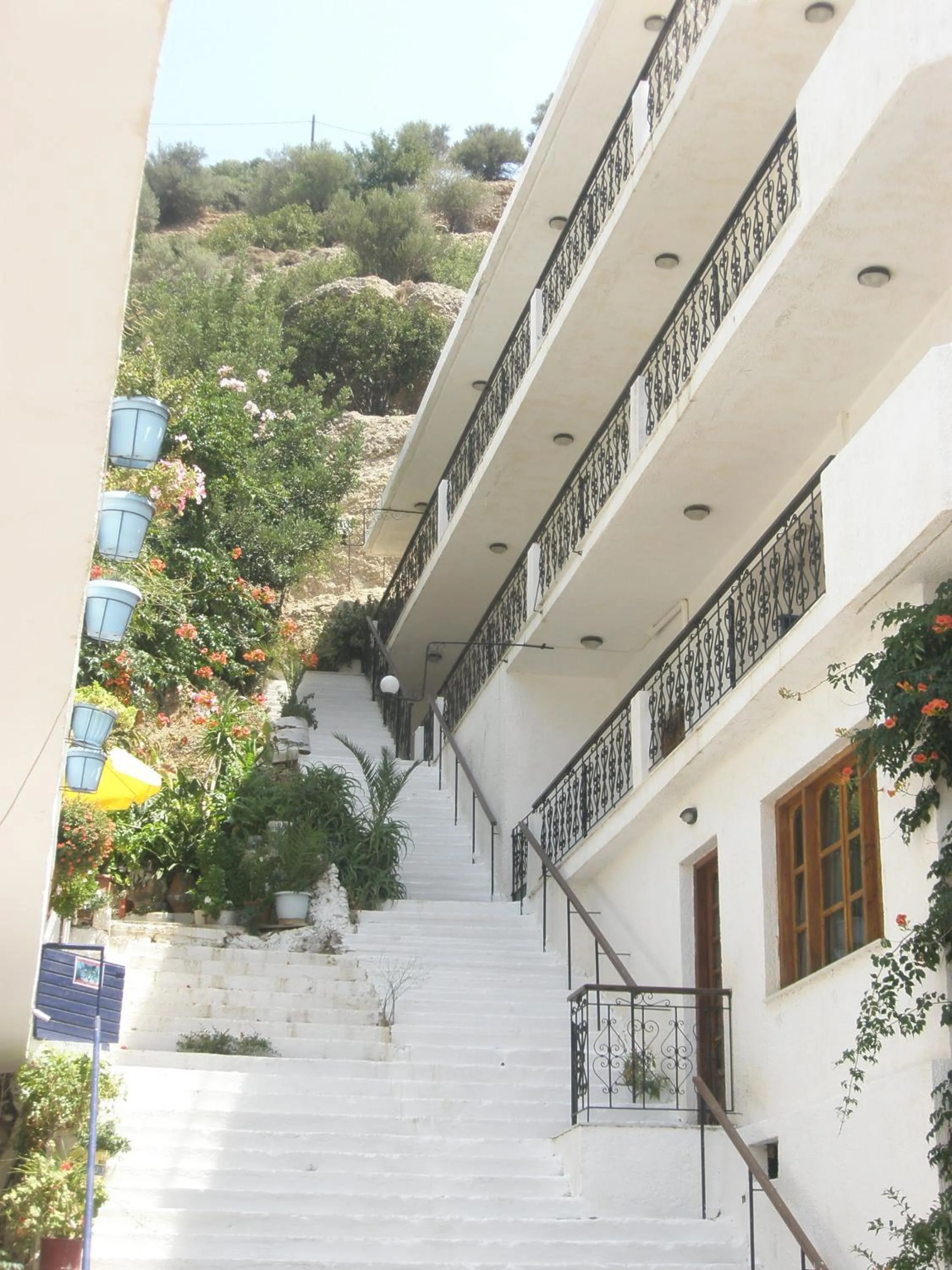 Property building in Ostria