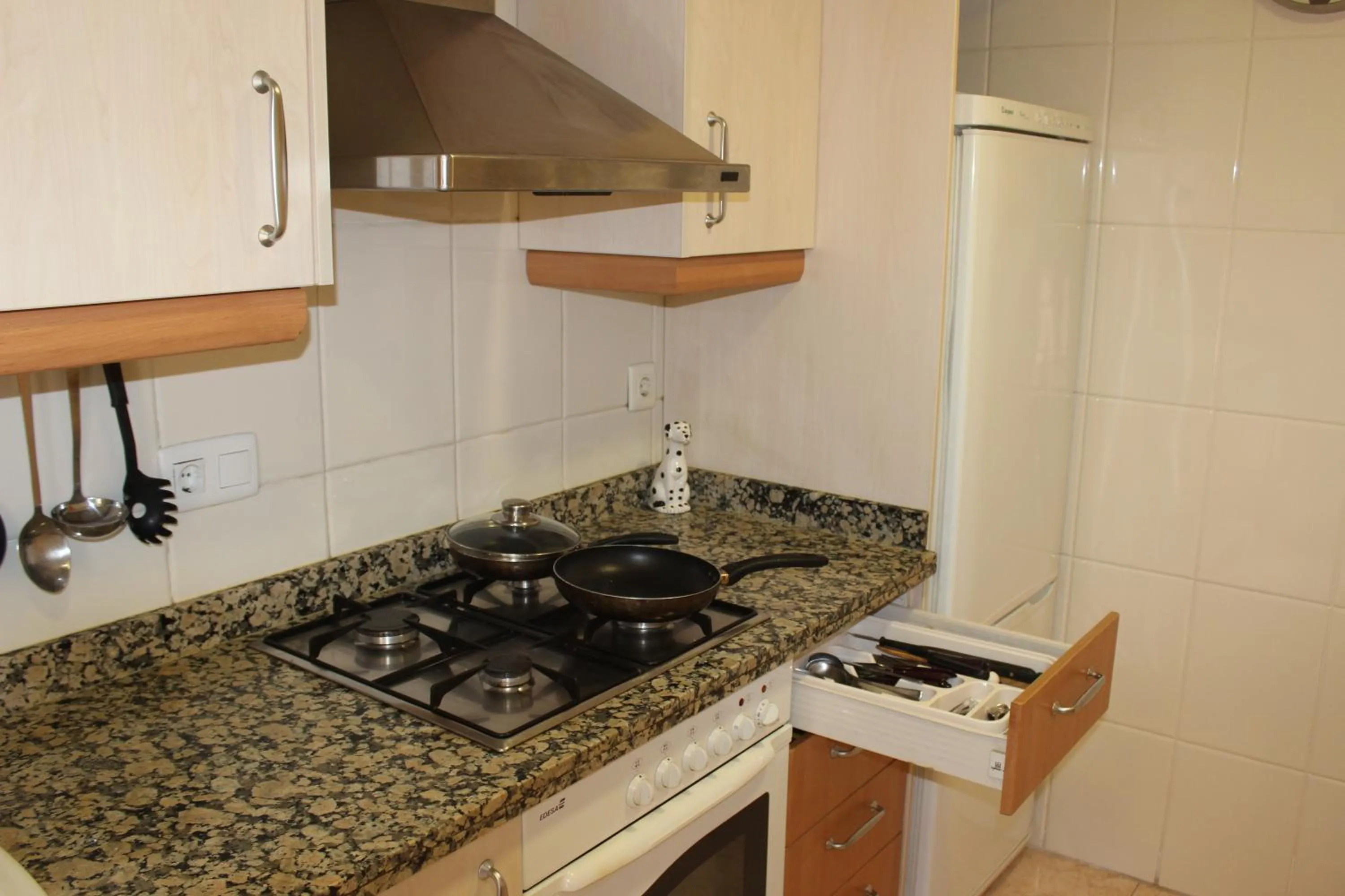 Activities in Oceanográfico Apartments