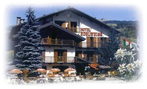 Hotel Edelweiss & SPA Hotel Edelweiss & SPA