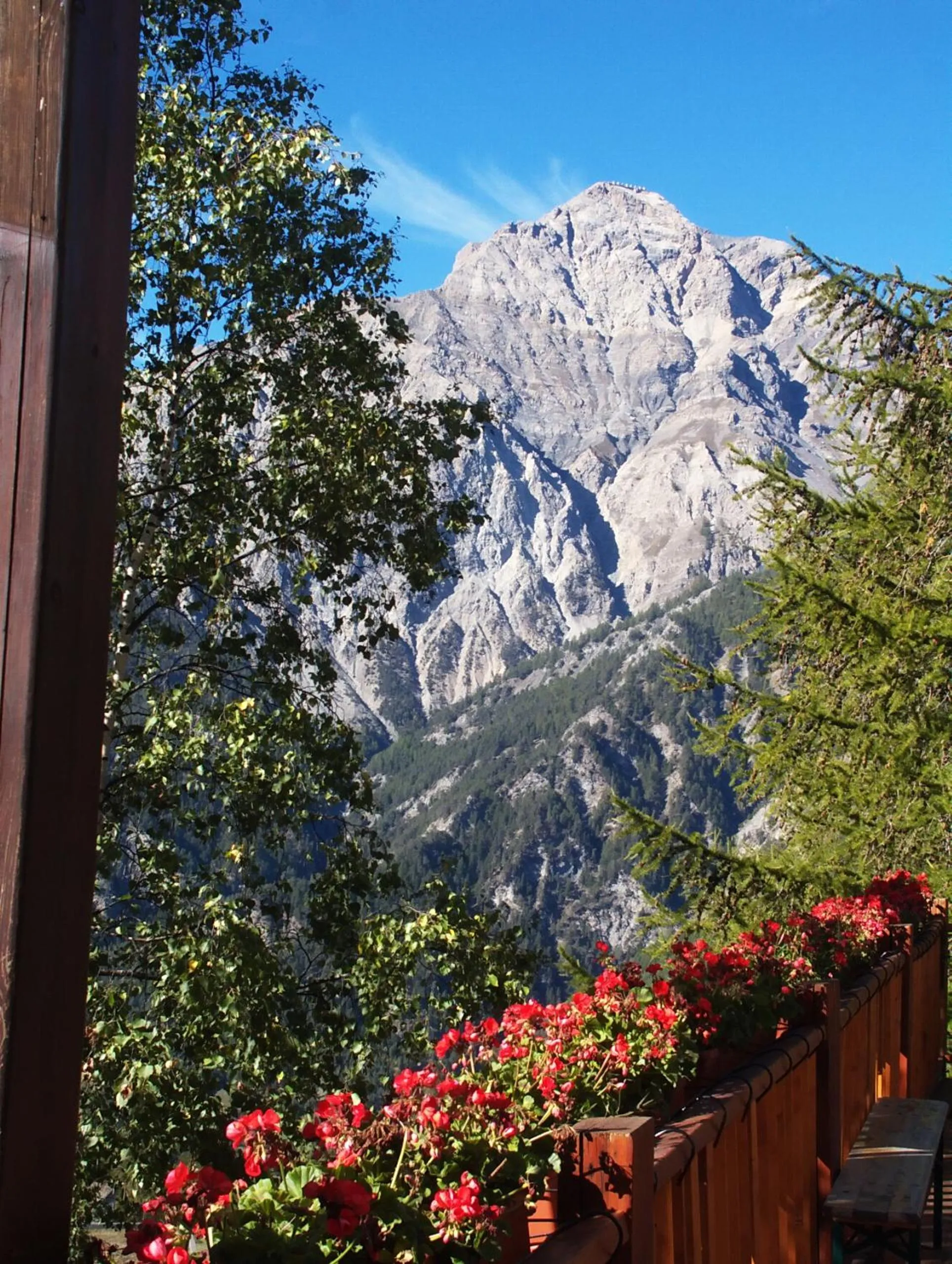 Mountain view in Hotel Edelweiss & SPA