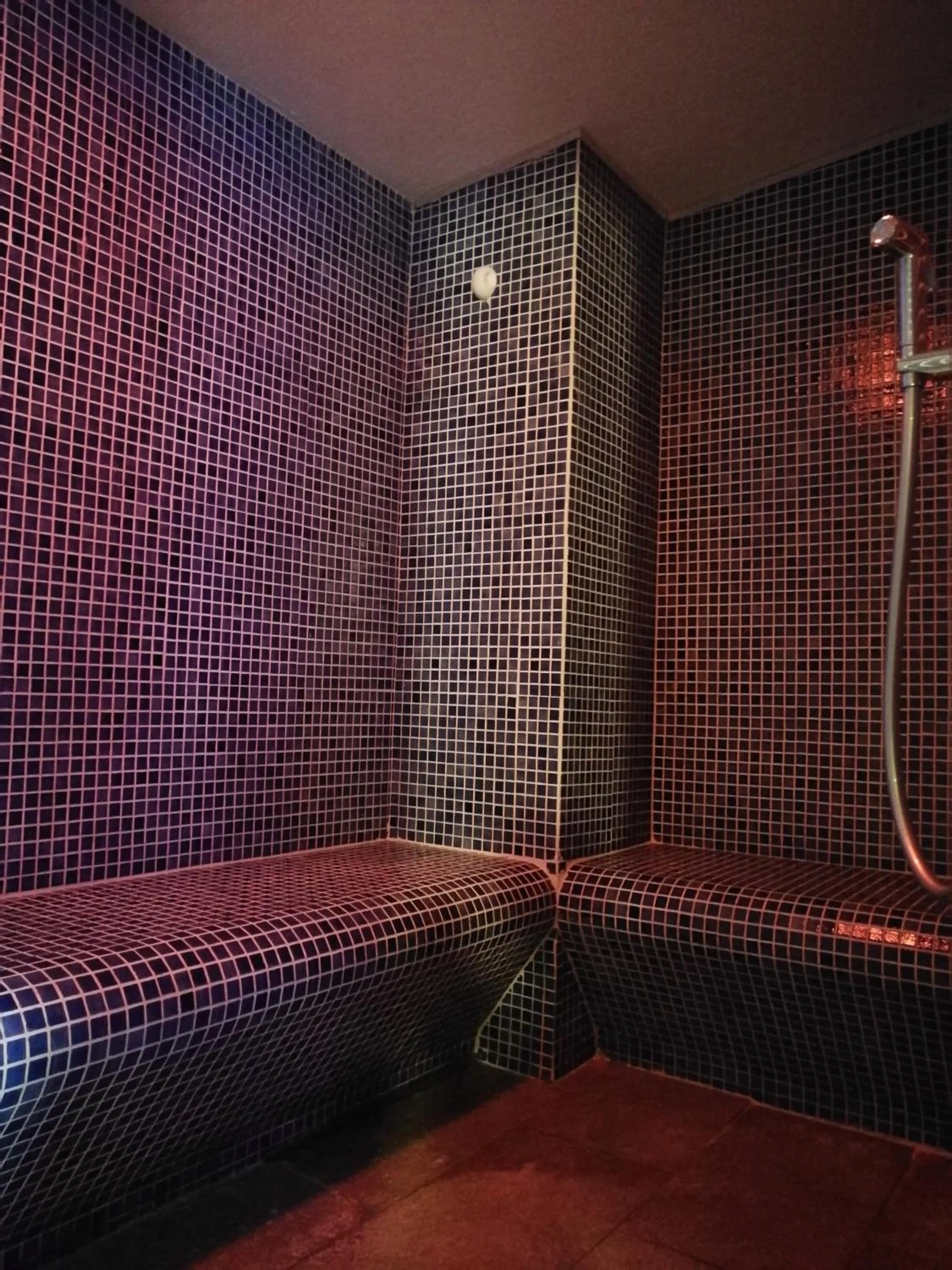 Bathroom in Hotel Edelweiss & SPA