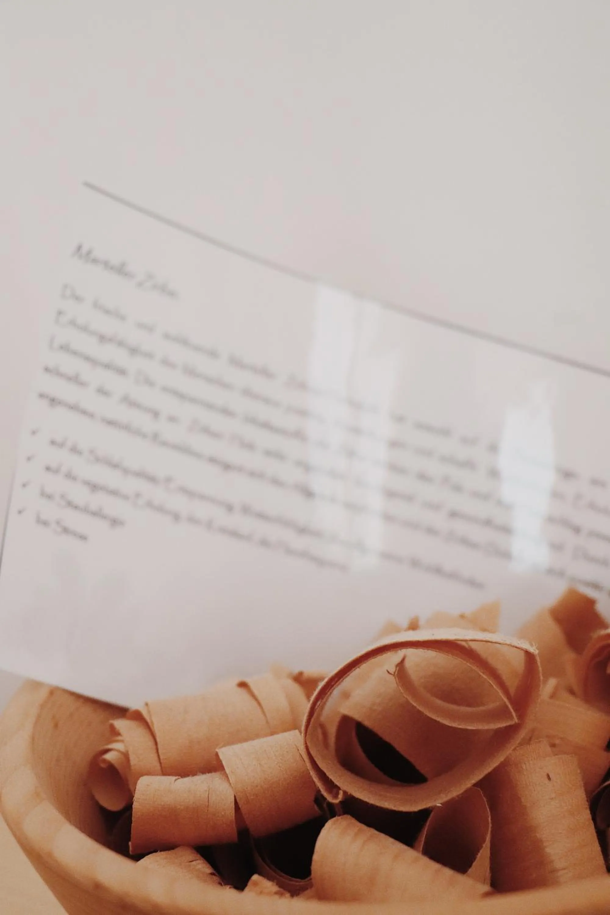 bunk bed in Hotel Martellerhof