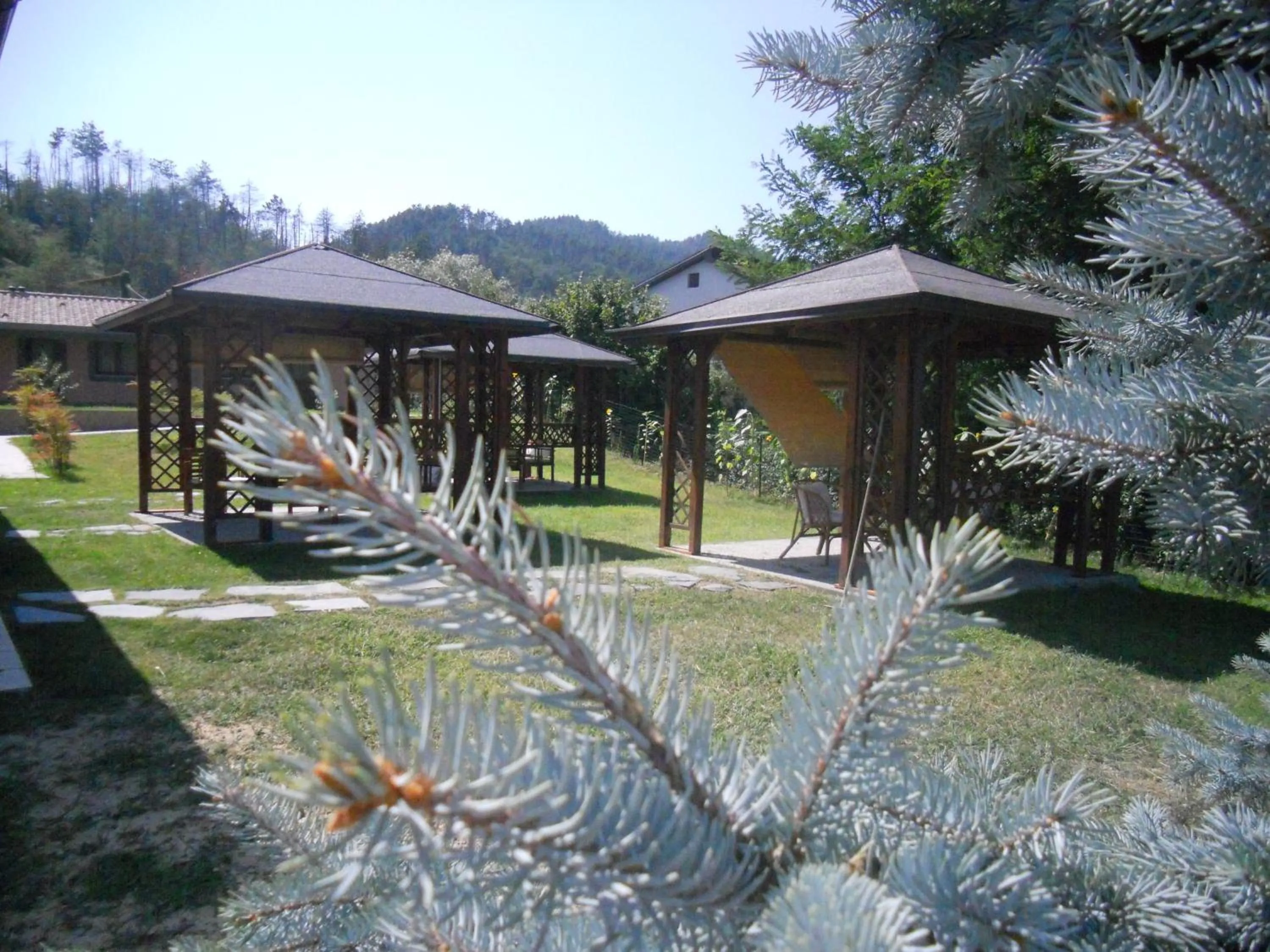 Garden in Hotel Sonno D'Autore