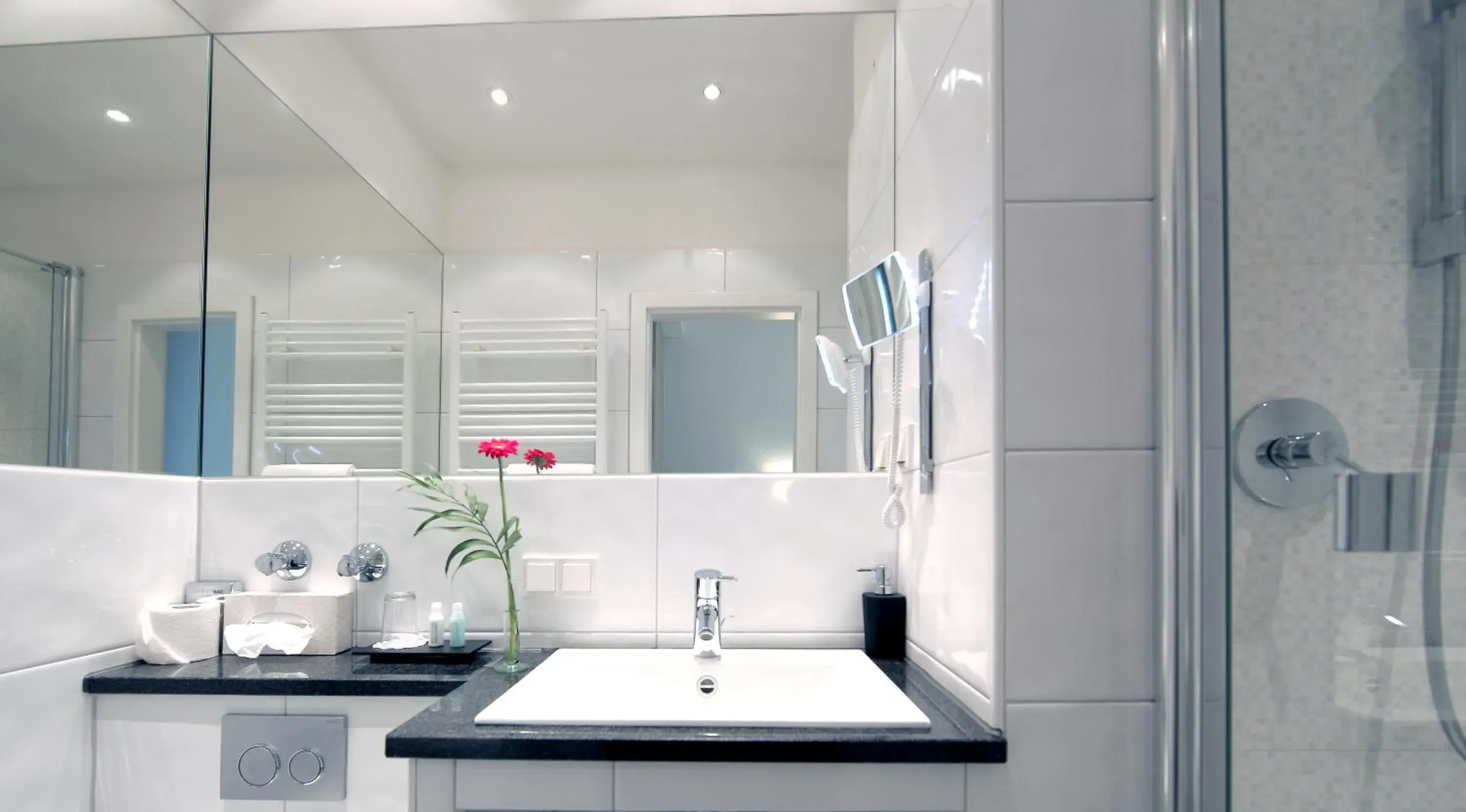 Double Room - single occupancy in Hotel am Hofgarten Double Room - single occupancy in Hotel am Hofgarten