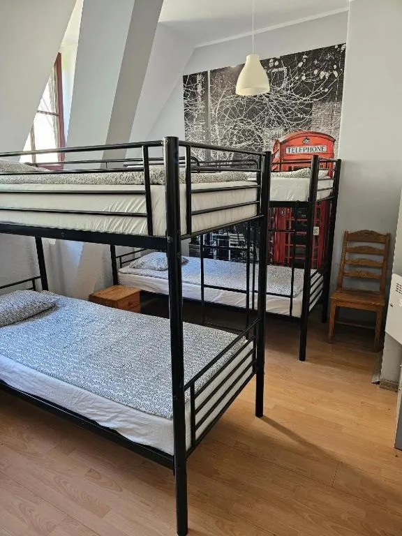 Bunk Bed in Male Dormitory Room  in Hostel Universus