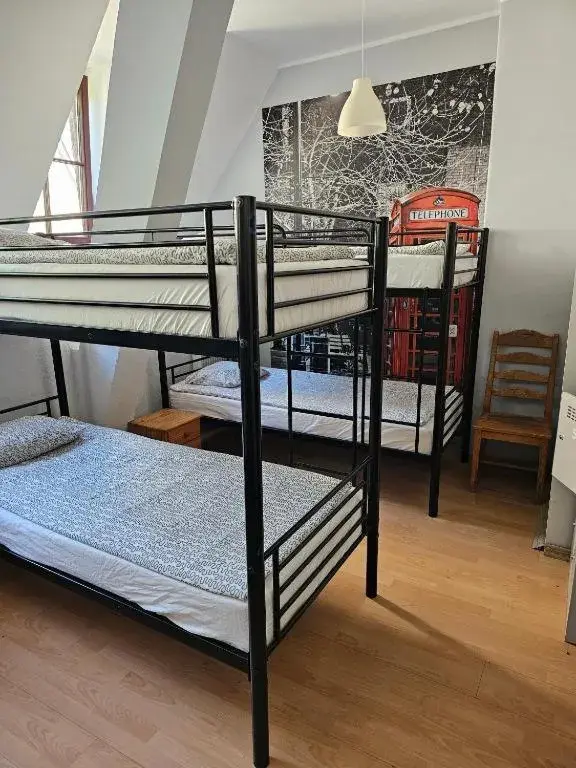 Bunk Bed in Male Dormitory Room in Hostel Universus Bunk Bed in Male Dormitory Room in Hostel Universus