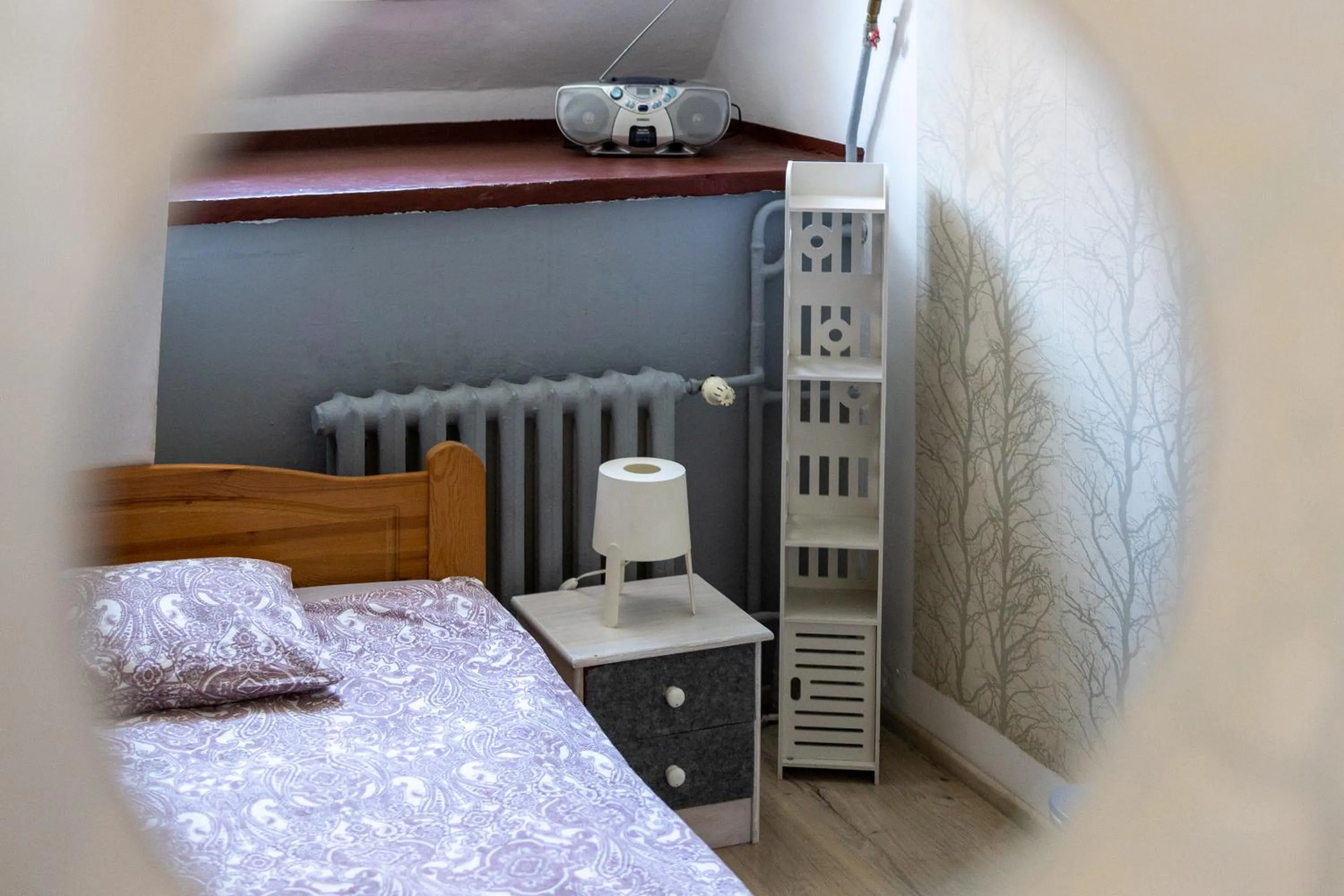 Single Room in Hostel Universus