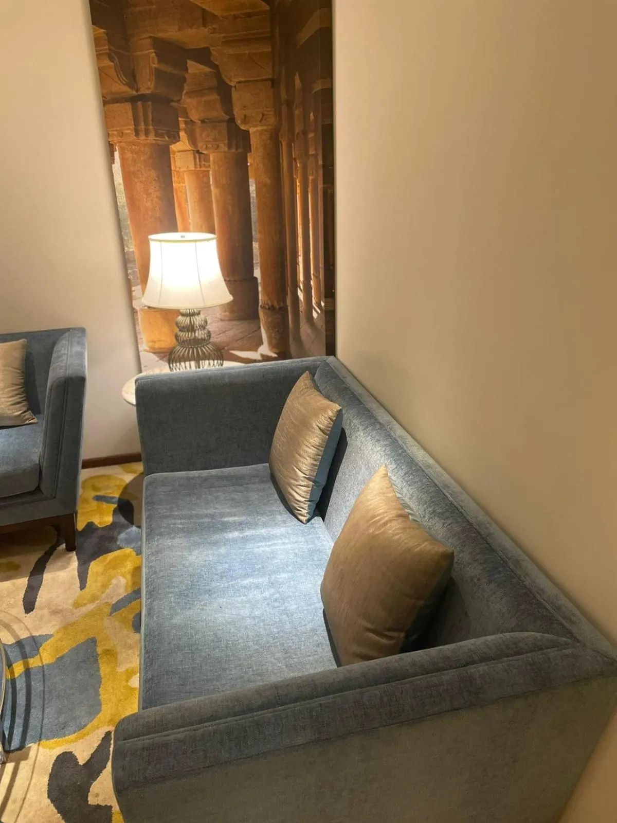 Living room in Radisson Gwalior