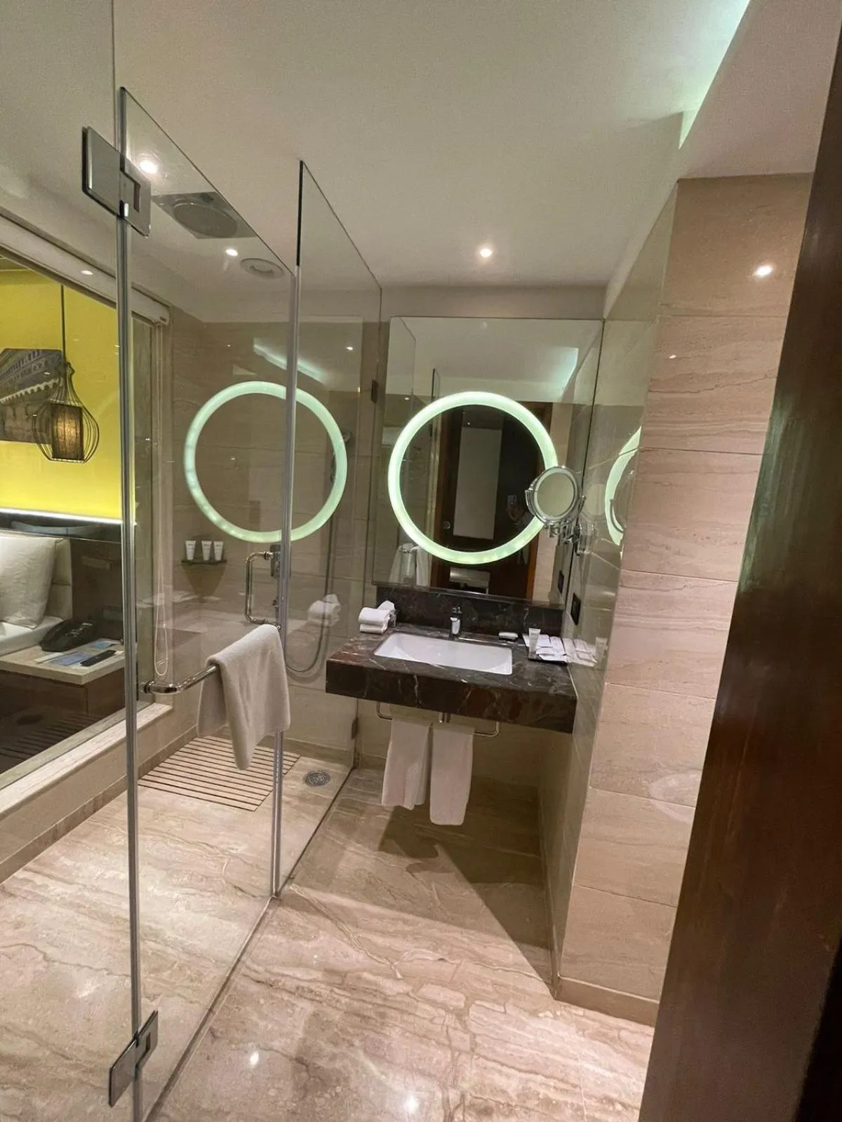 Toilet in Radisson Gwalior