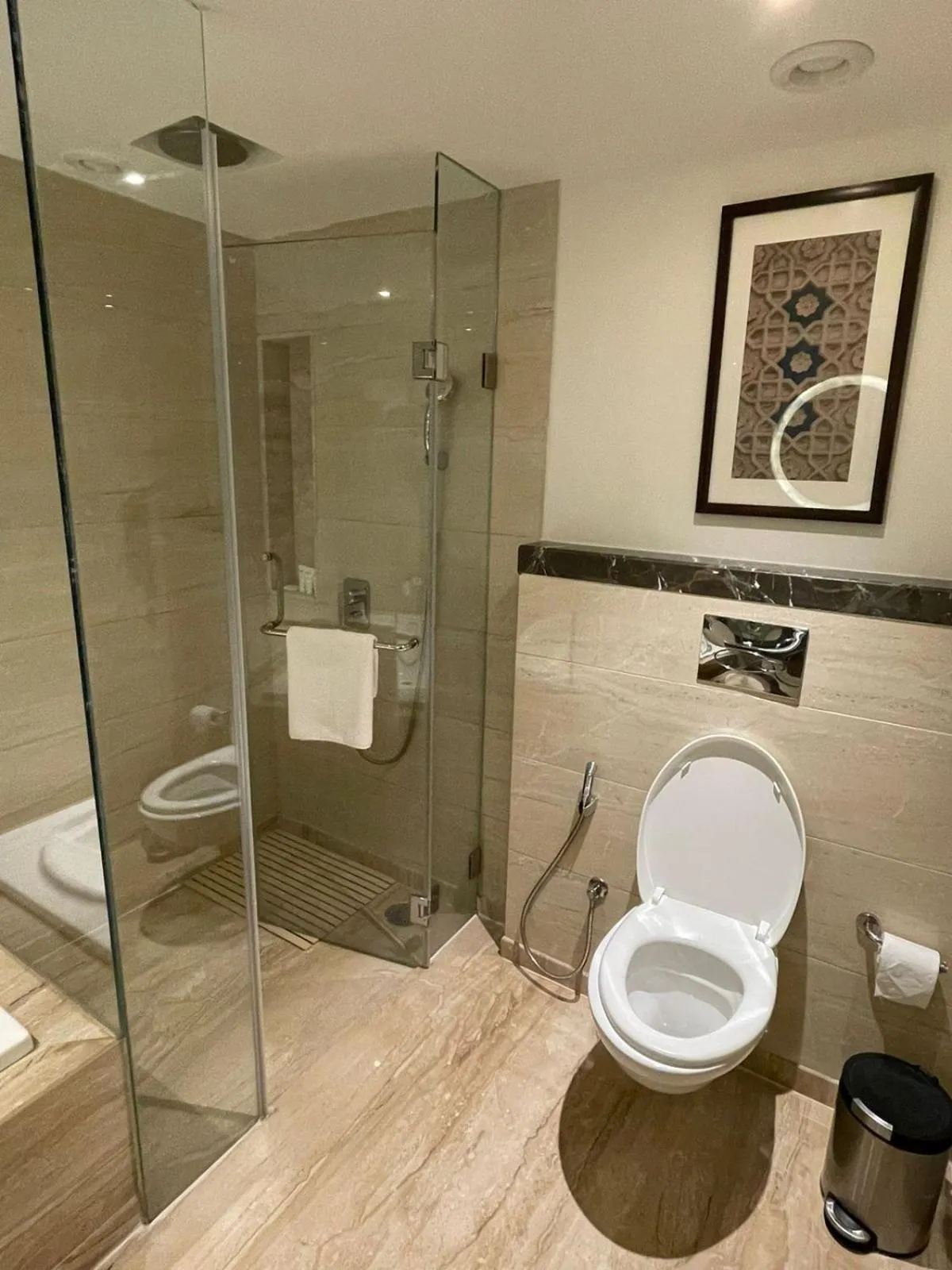 Toilet in Radisson Gwalior