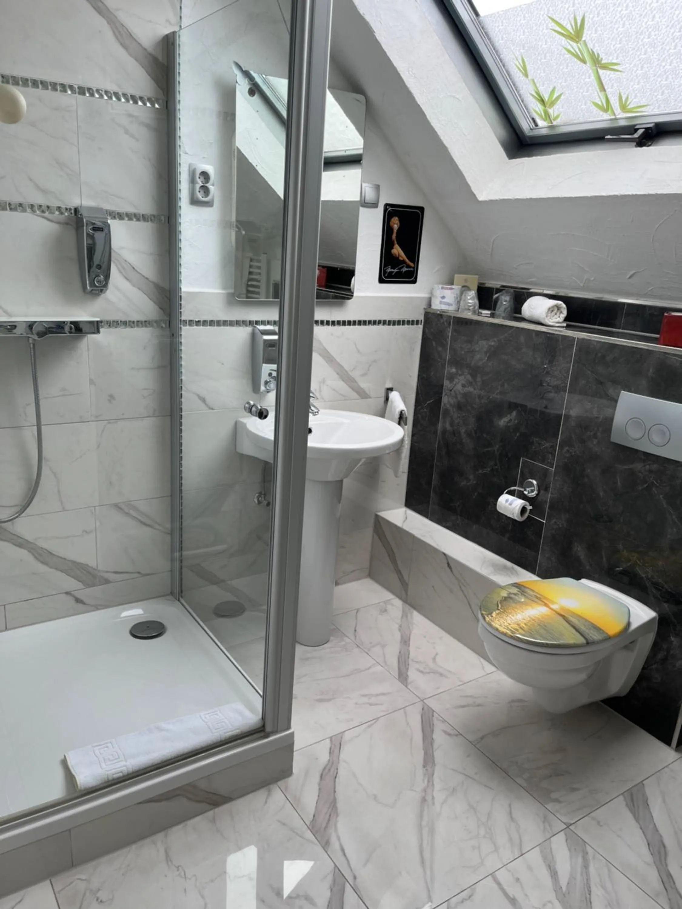 Shower in Hotel Karthäuser Hof