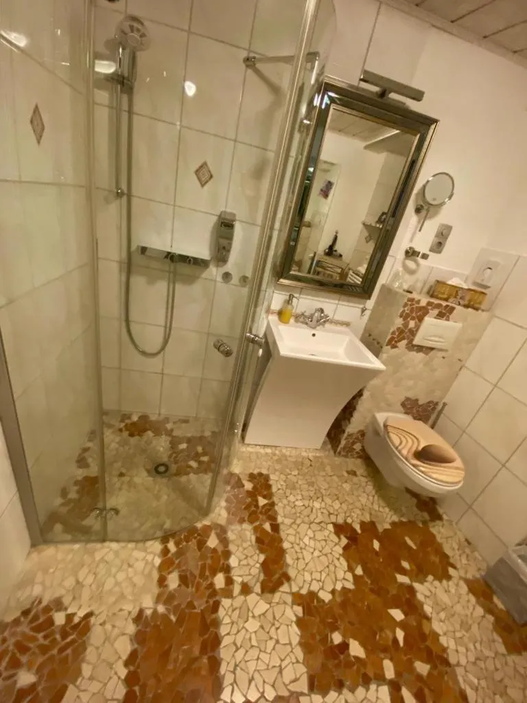 Shower in Hotel Karthäuser Hof