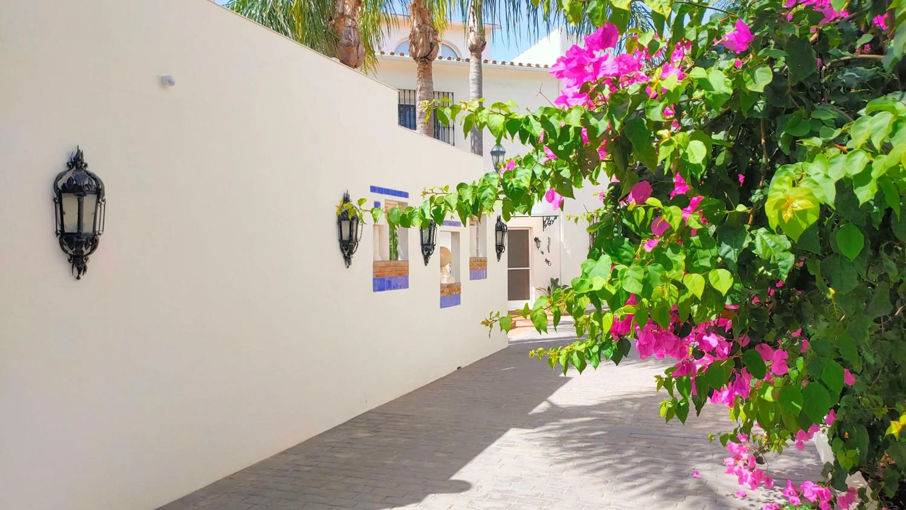 Finca La Vida Loca- For adult guests