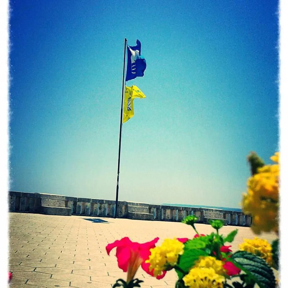 Other in Athena b&b Castro