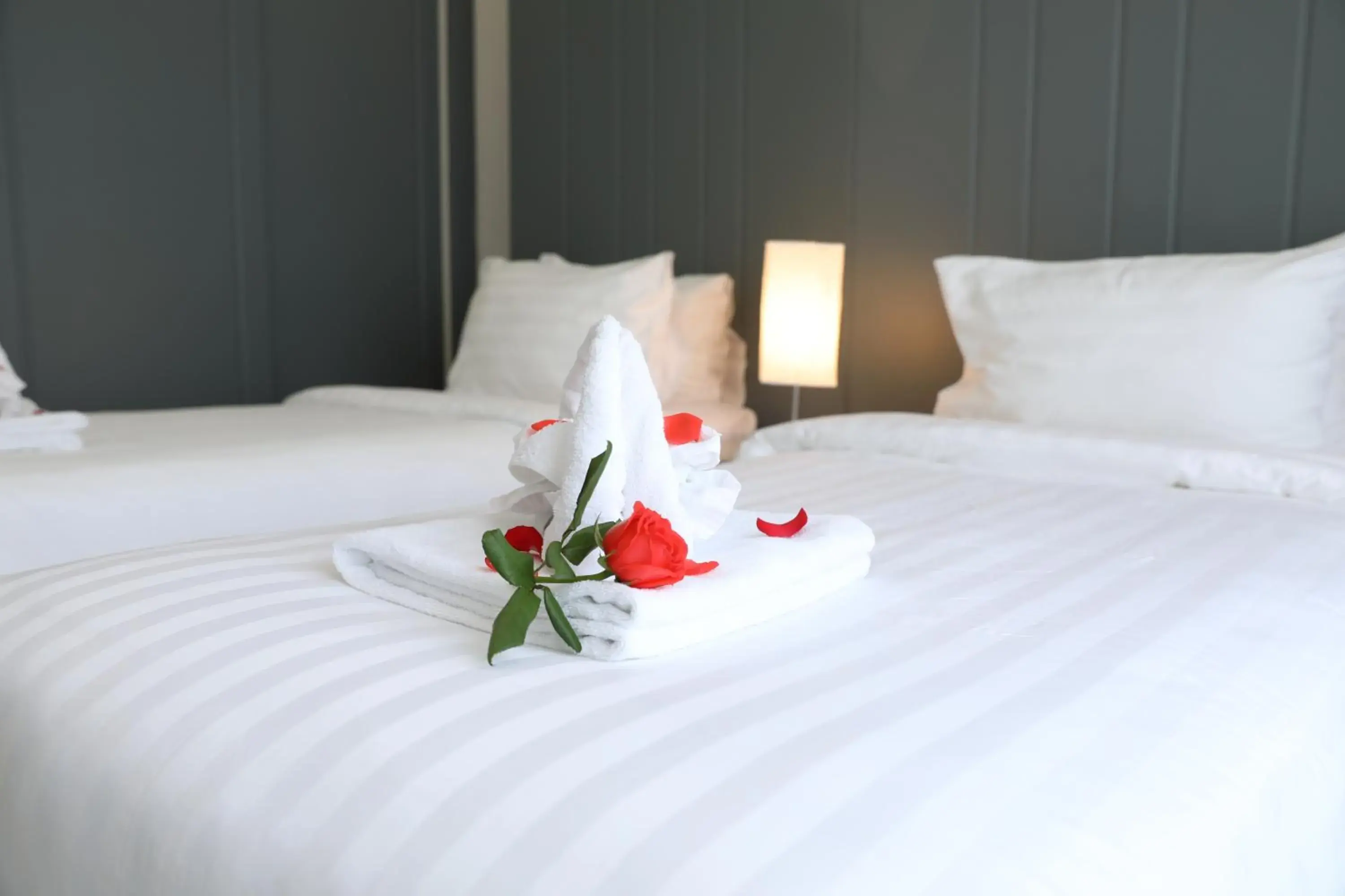 Bedroom, Bed in Fide Hotel Bedroom, Bed in Fide Hotel