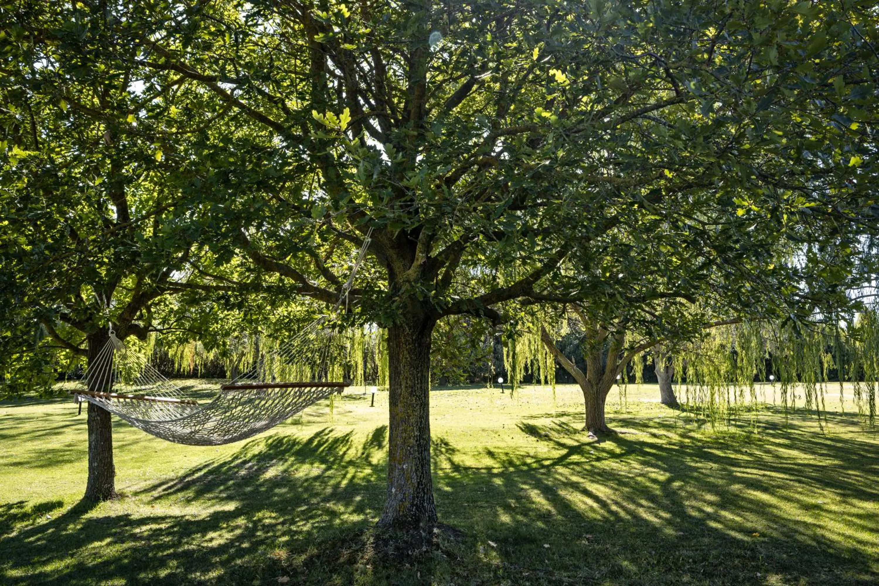 Natural landscape in Janas Country Resort