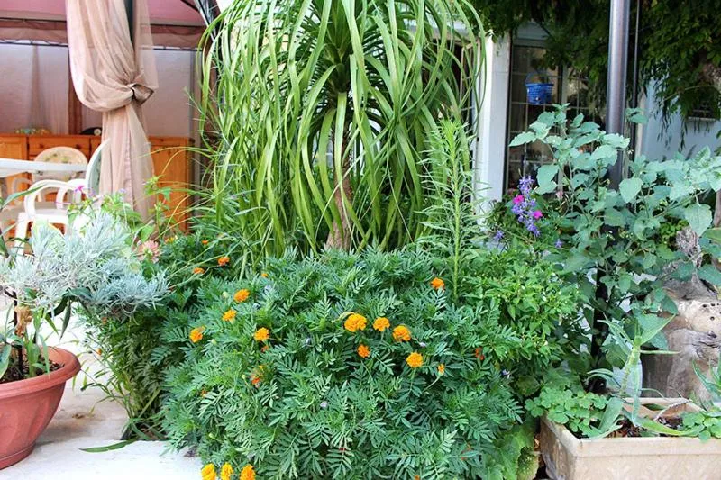 Garden in B&B IreneMarchese Gluten Free