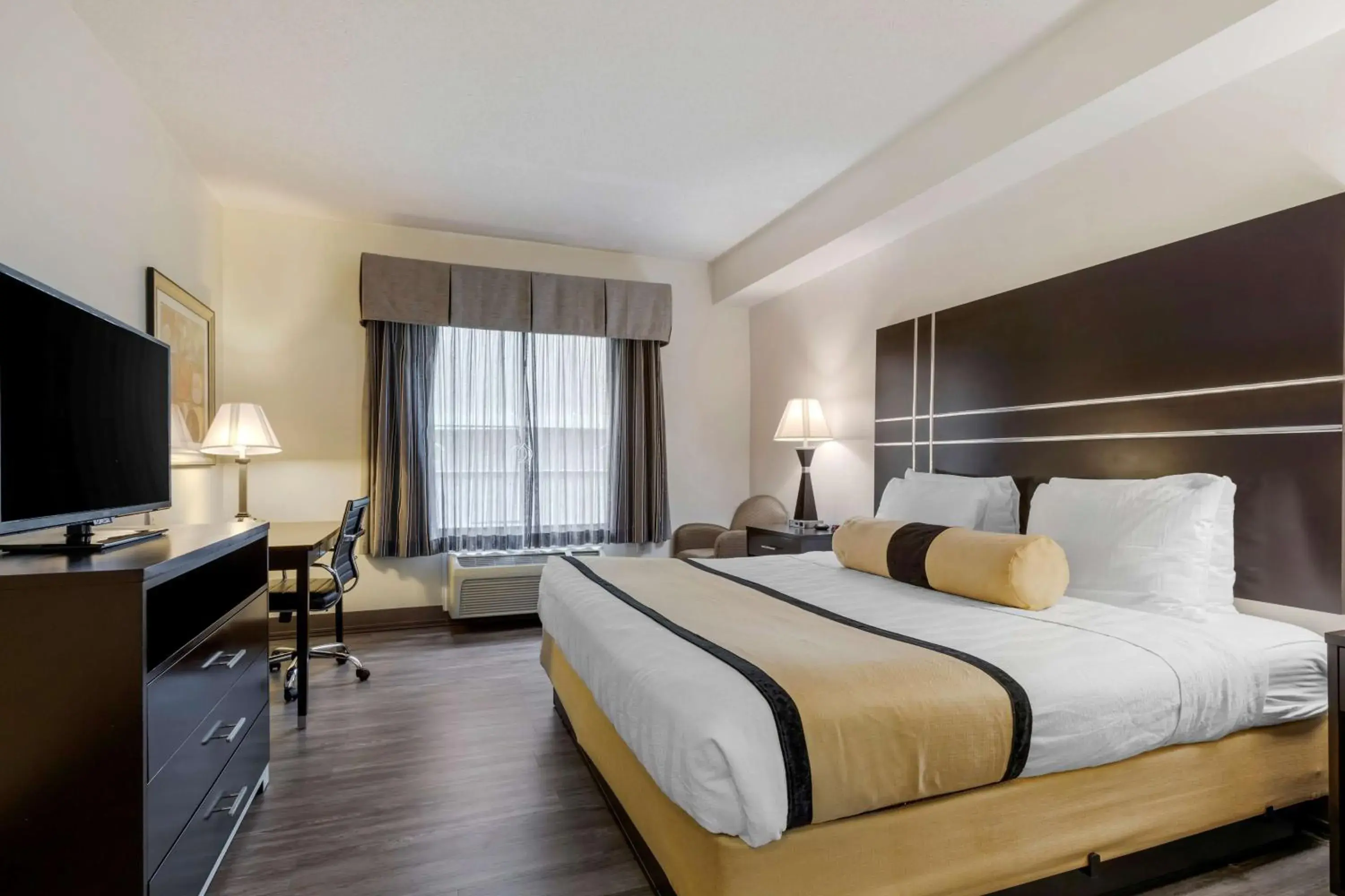 King Room with Roll-In Shower - Disability Access in Best Western Plus Rockwall Inn & Suites King Room with Roll-In Shower - Disability Access in Best Western Plus Rockwall Inn & Suites