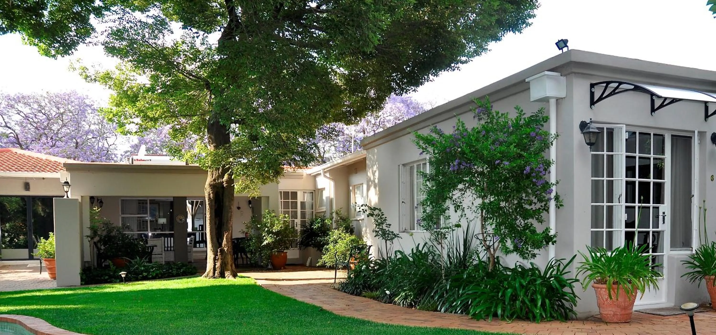 Deluxe Double or Twin Room with Garden View - single occupancy in Rosebank Lodge Guesthouse by Claires