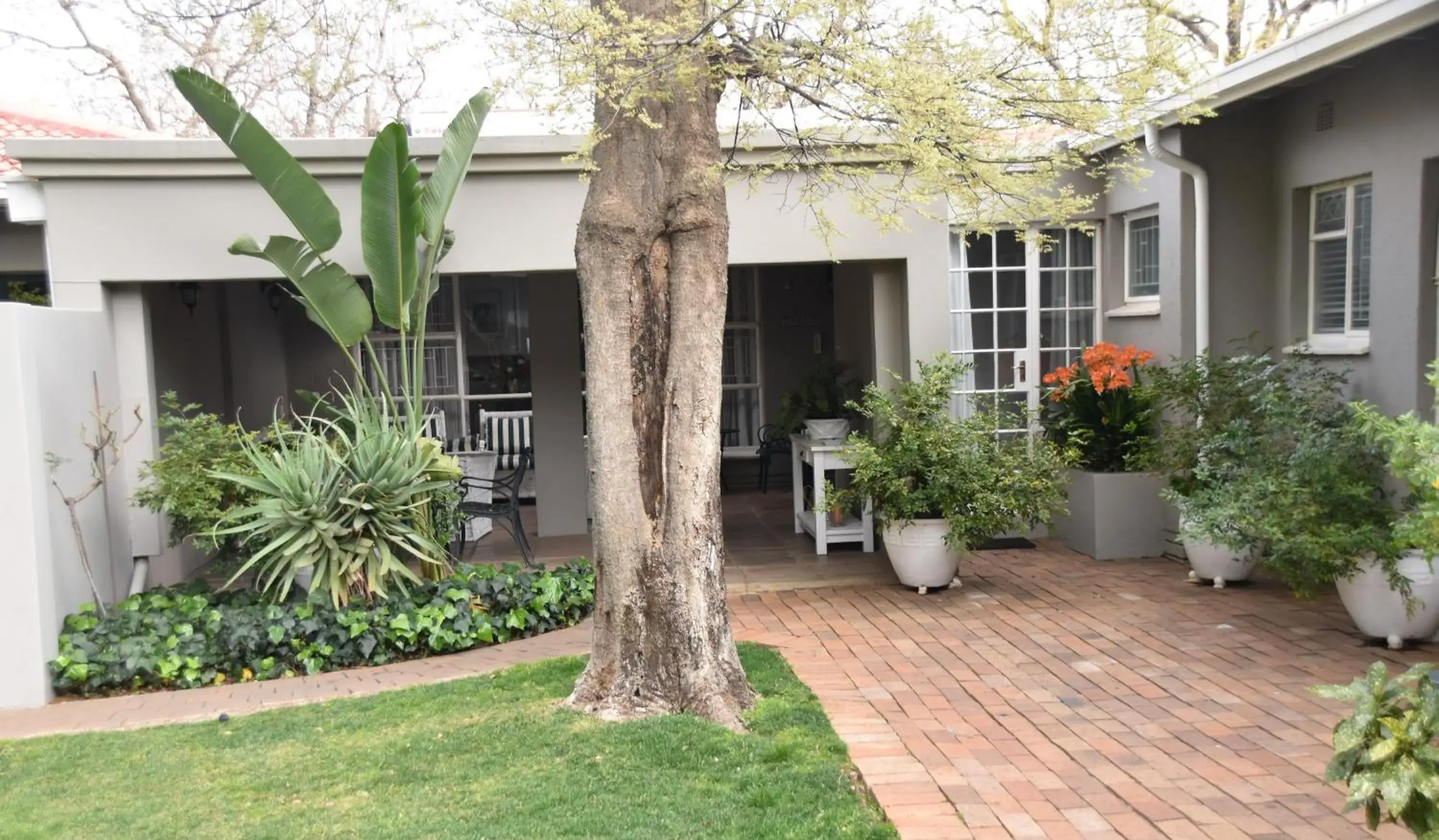 Superior Double or Twin Room - single occupancy in Rosebank Lodge Guesthouse by Claires Superior Double or Twin Room - single occupancy in Rosebank Lodge Guesthouse by Claires