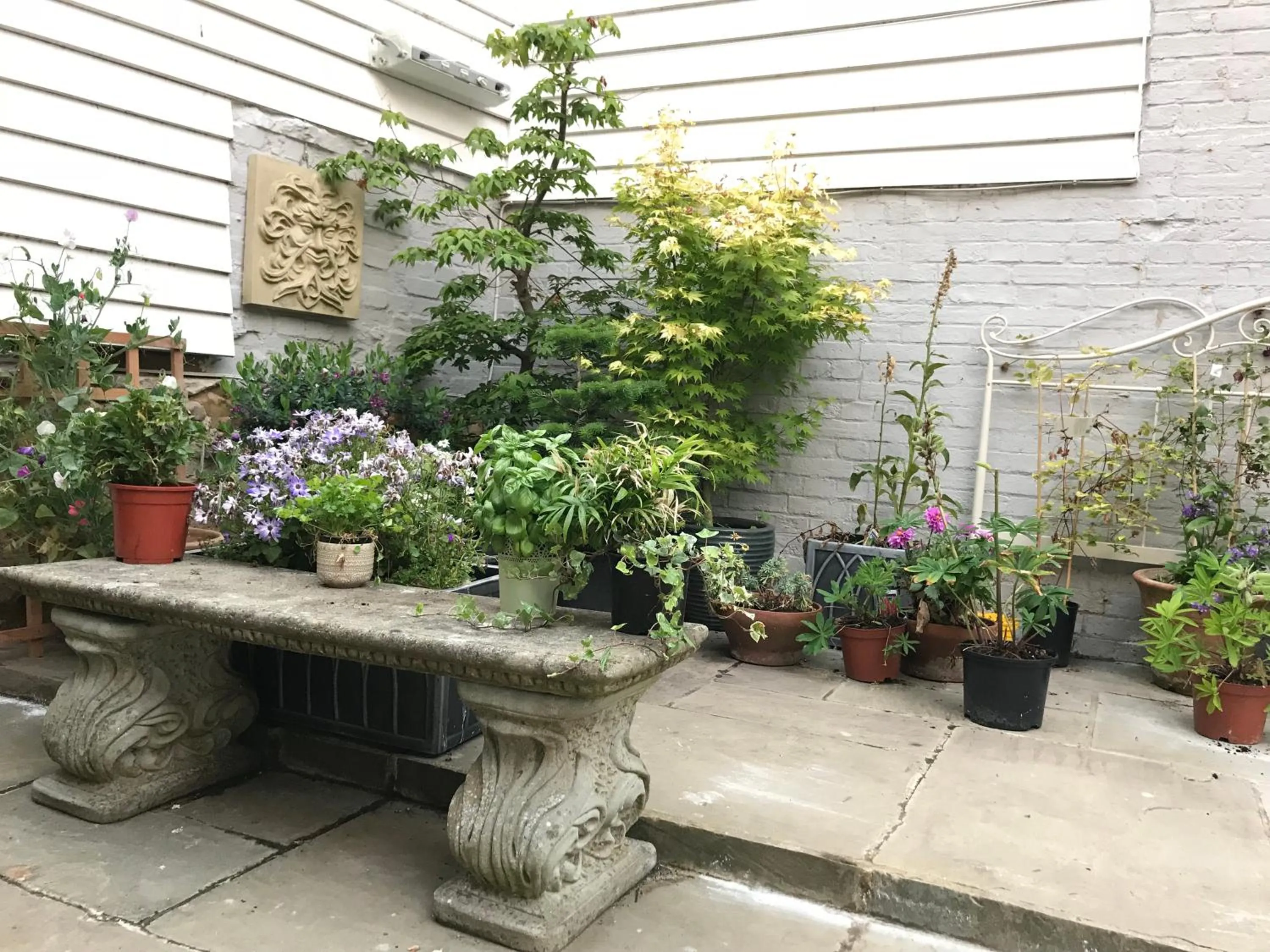 Patio in The Tea House