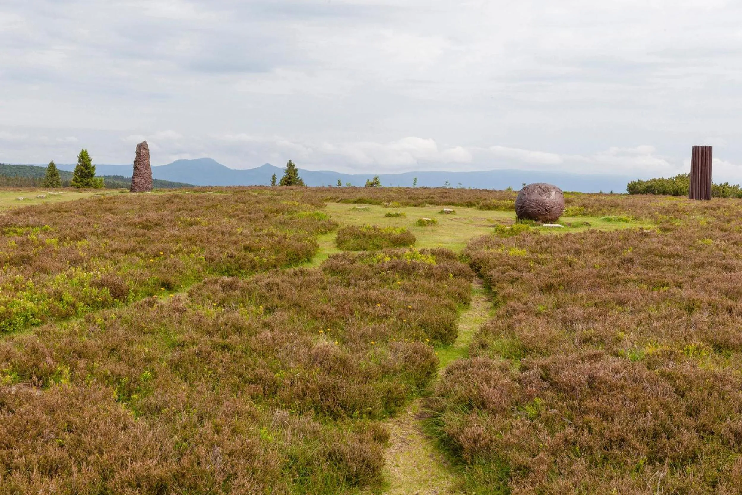 Hiking in Hotel Restaurant Mont Champ du Feu