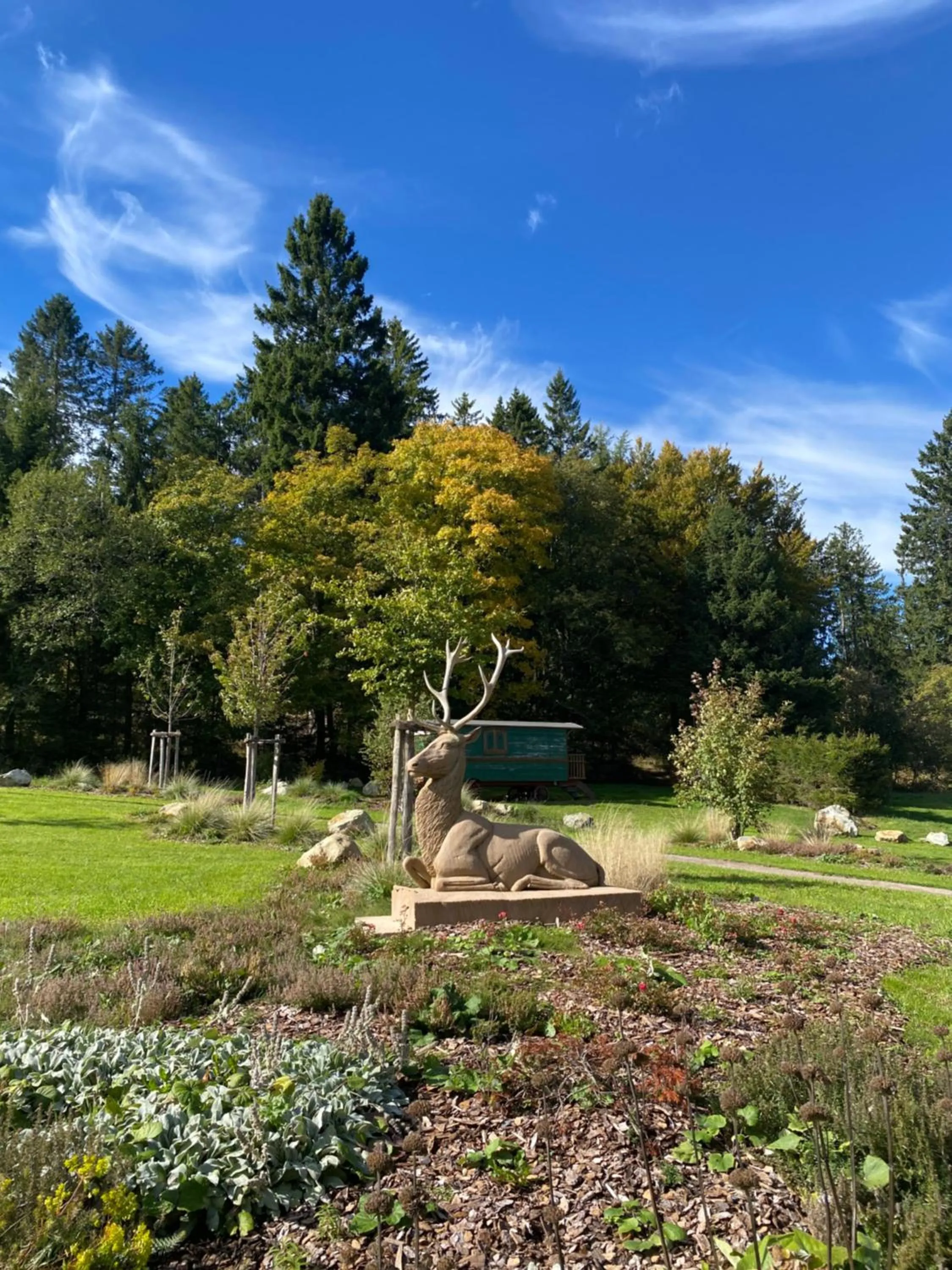 Garden in Hotel Restaurant Mont Champ du Feu