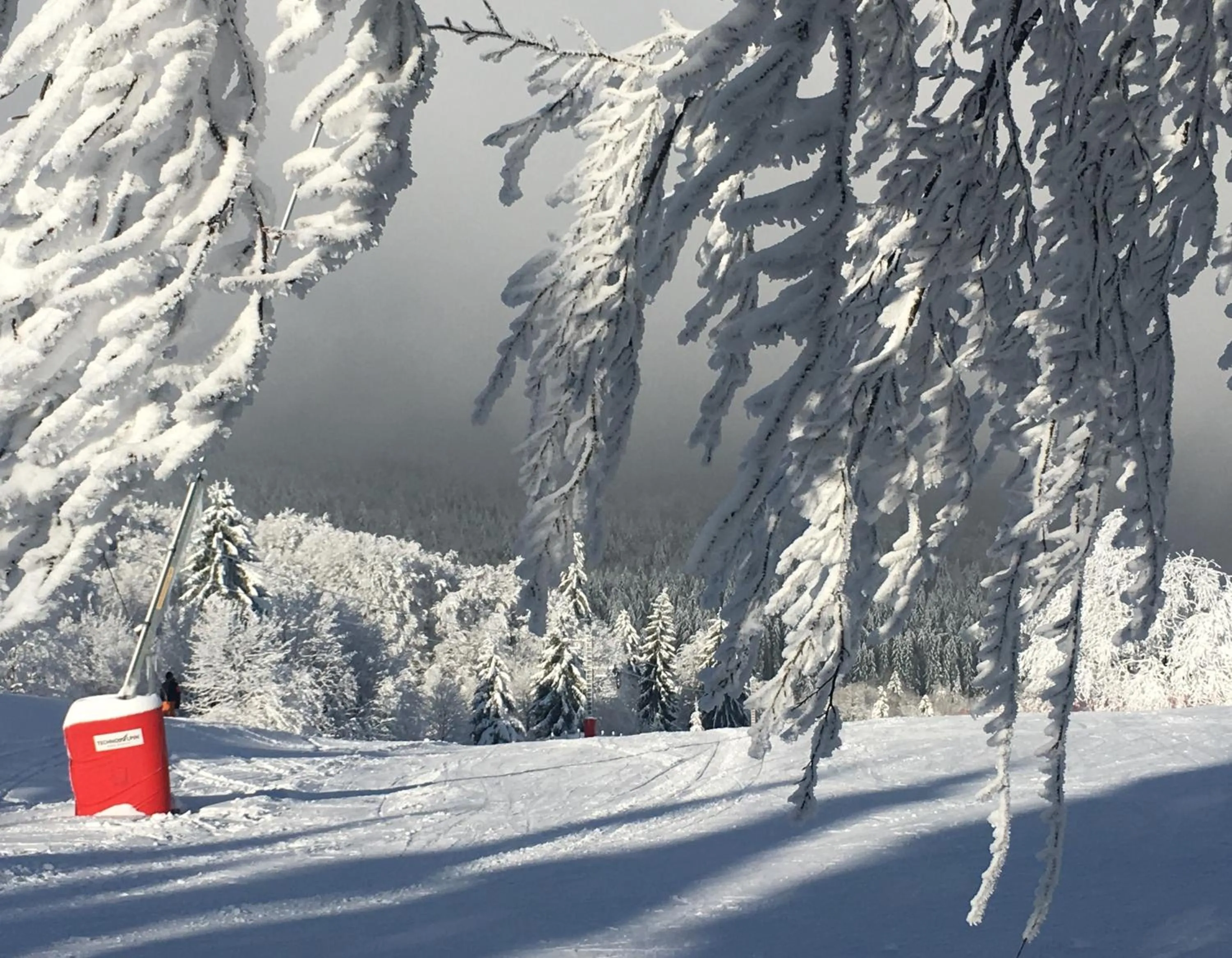 Winter in Hotel Restaurant Mont Champ du Feu