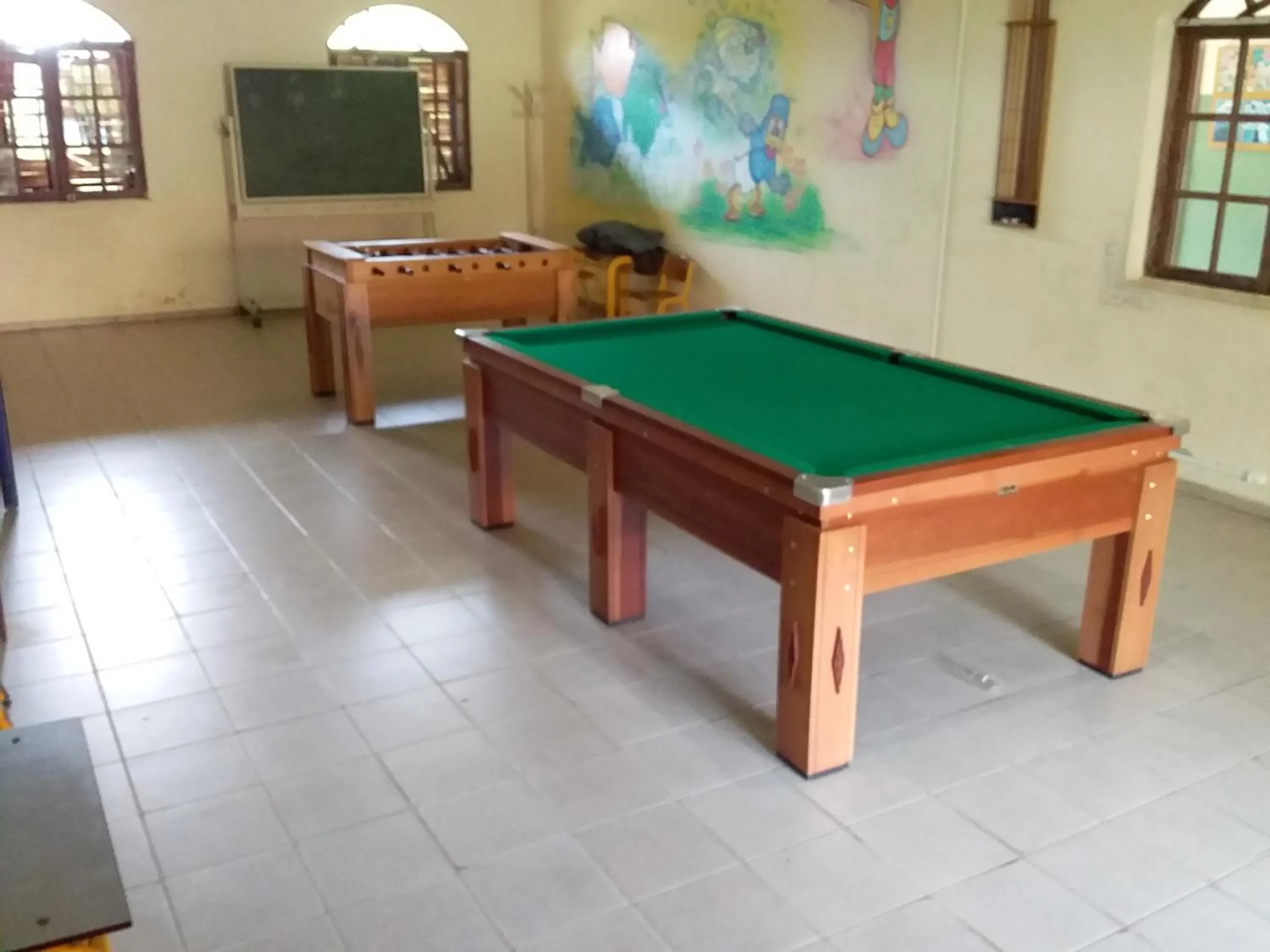 Billiard in Fazenda São Felipe