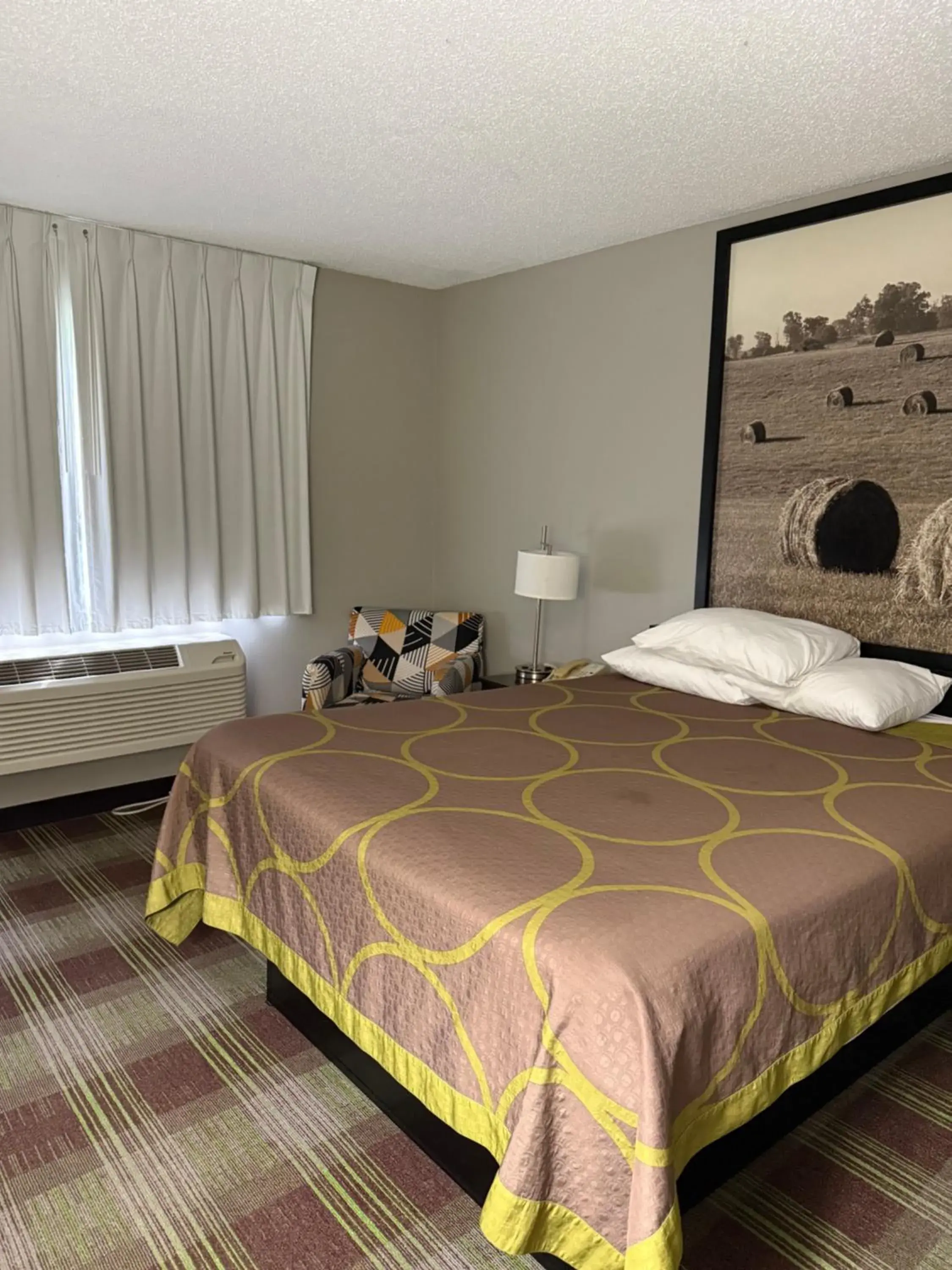 Bed in Super 8 by Wyndham Campbellsville KY Bed in Super 8 by Wyndham Campbellsville KY