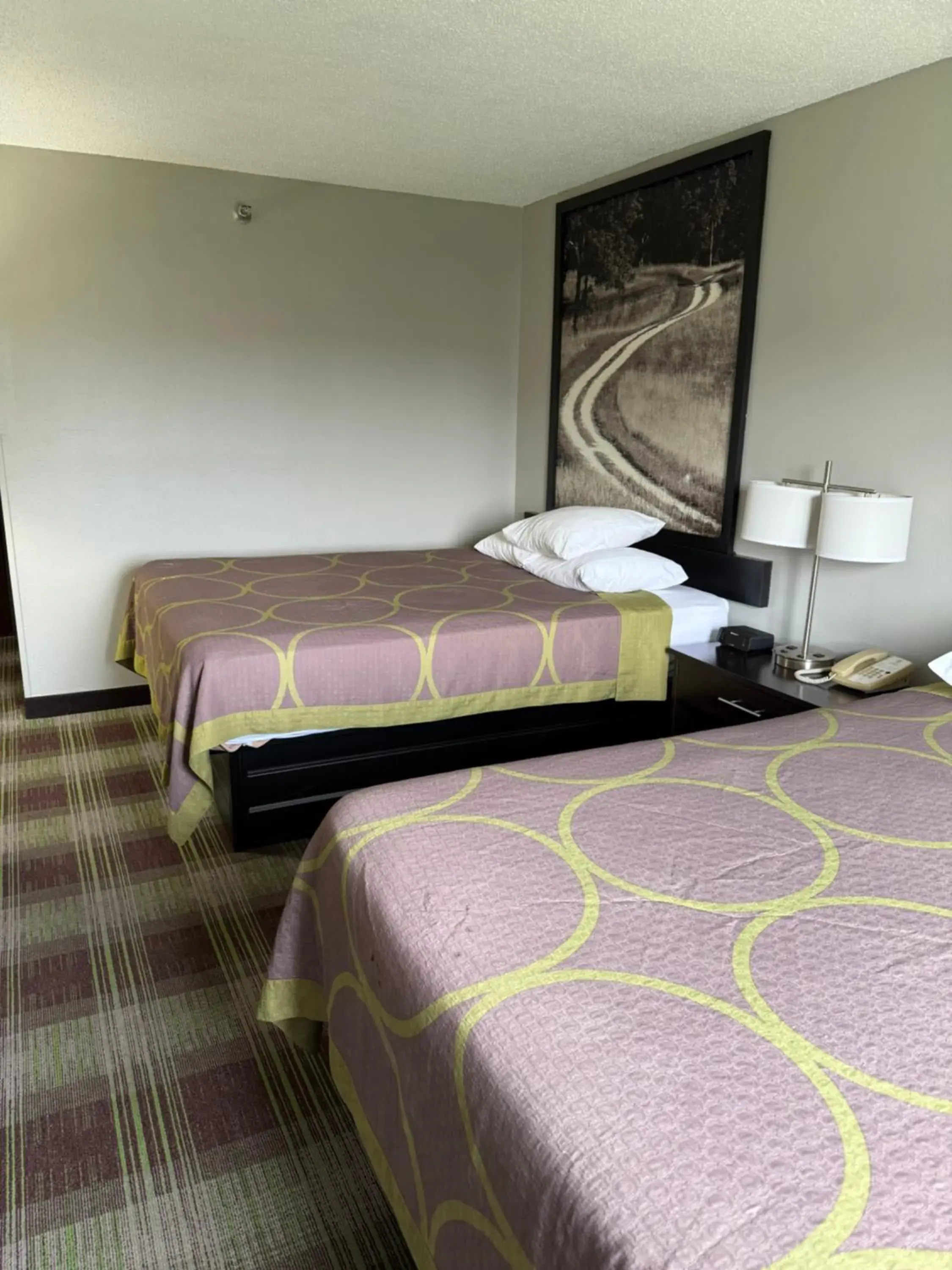 Bed in Super 8 by Wyndham Campbellsville KY Bed in Super 8 by Wyndham Campbellsville KY