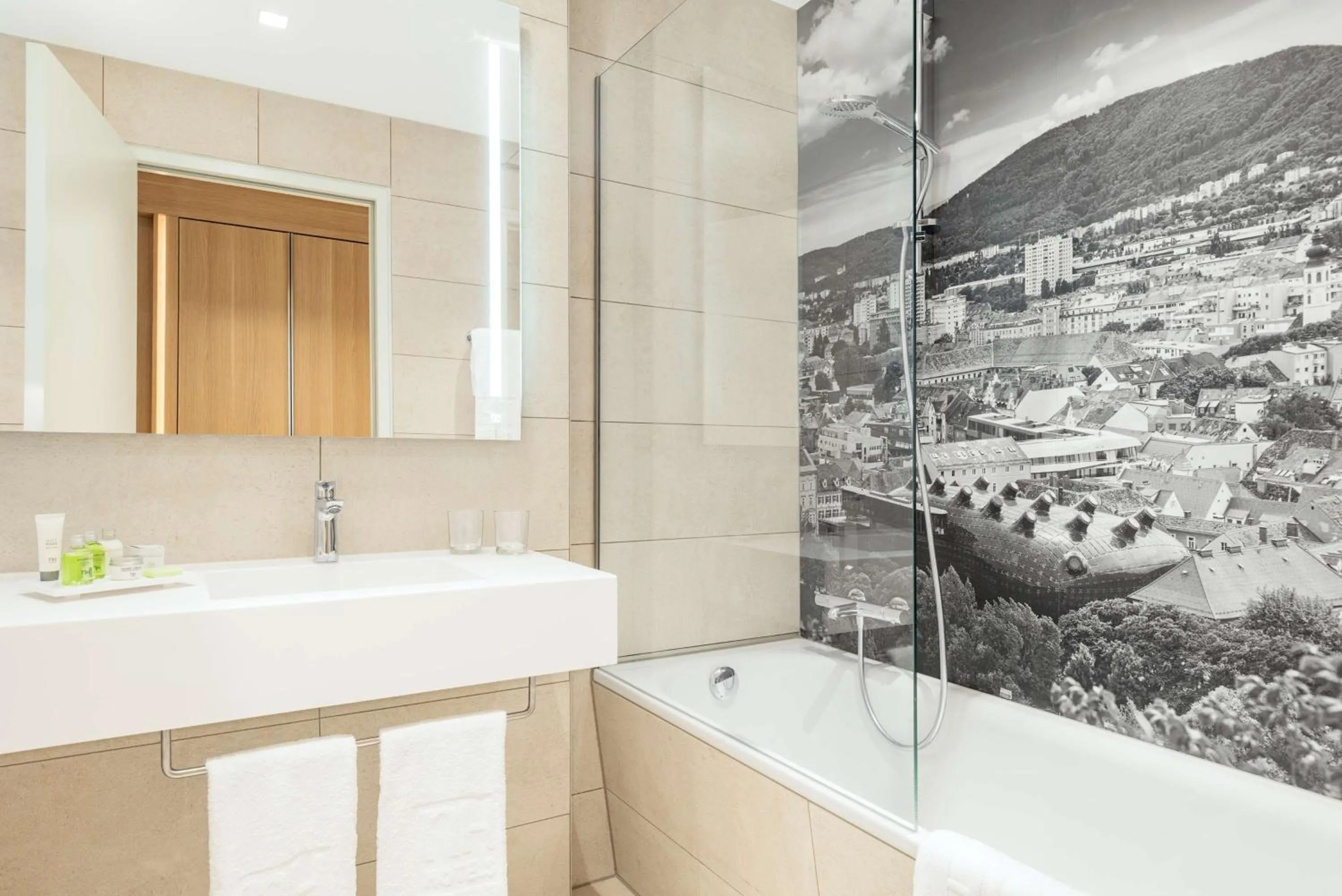 Bathroom in NH Graz City